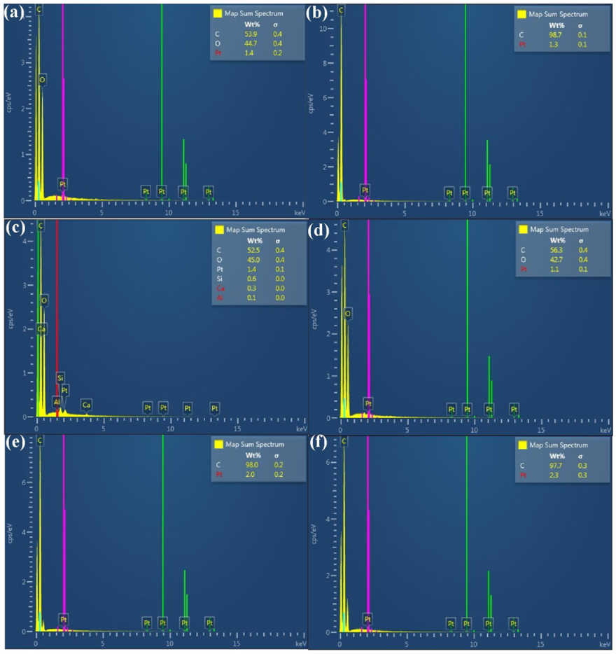 Polymers 13 04126 g014 550