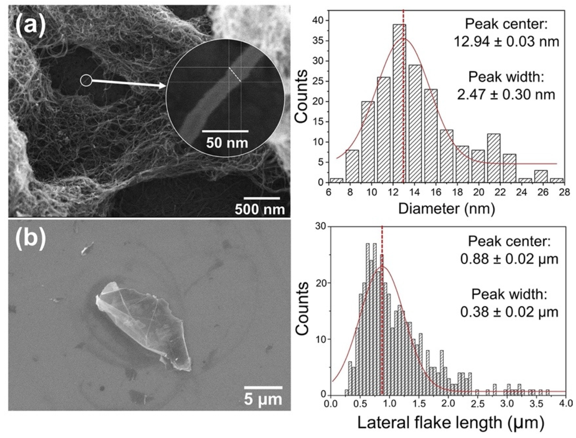 Polymers 13 04128 g002