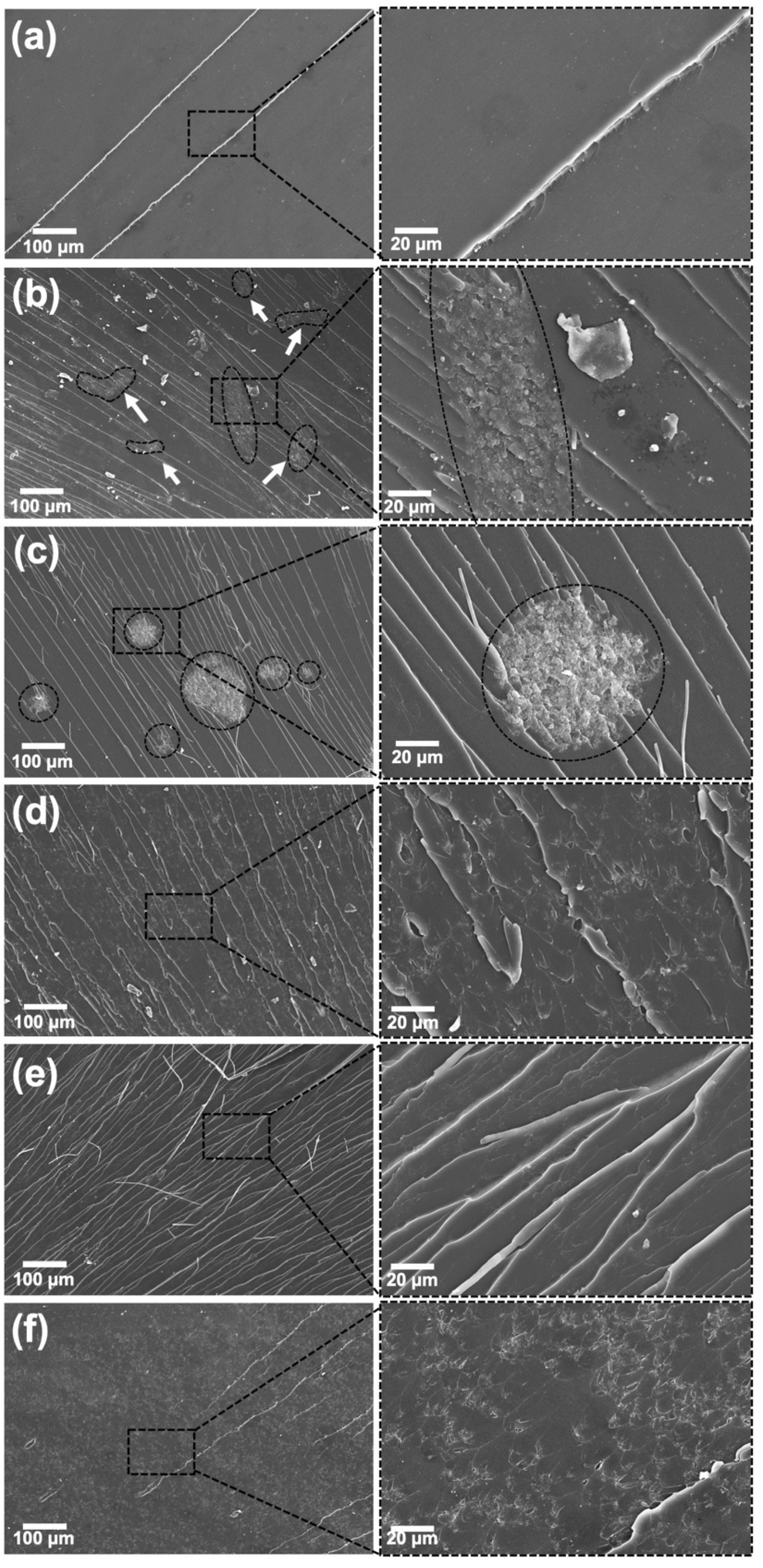 Polymers 13 04128 g006