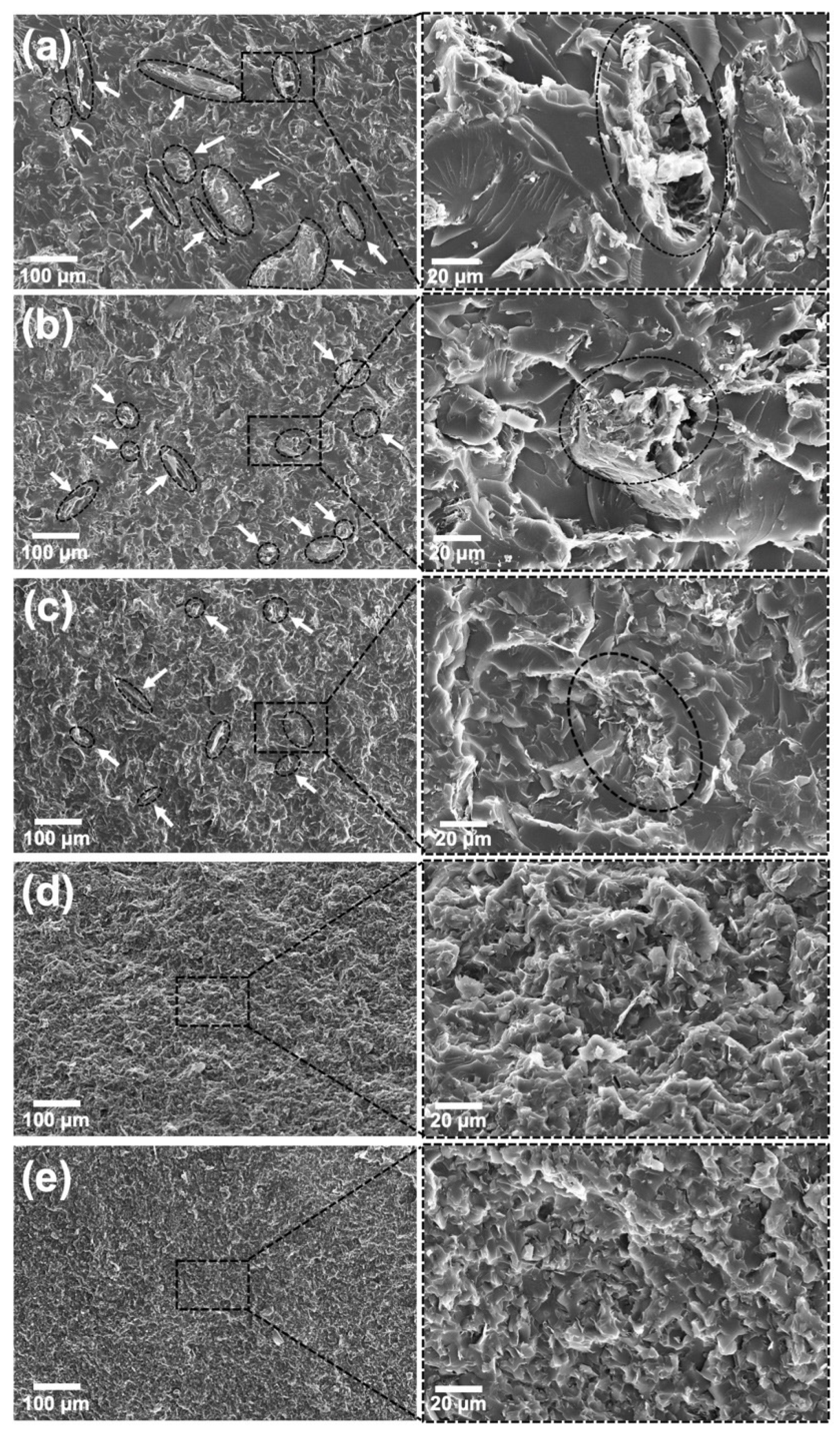 Polymers 13 04128 g007