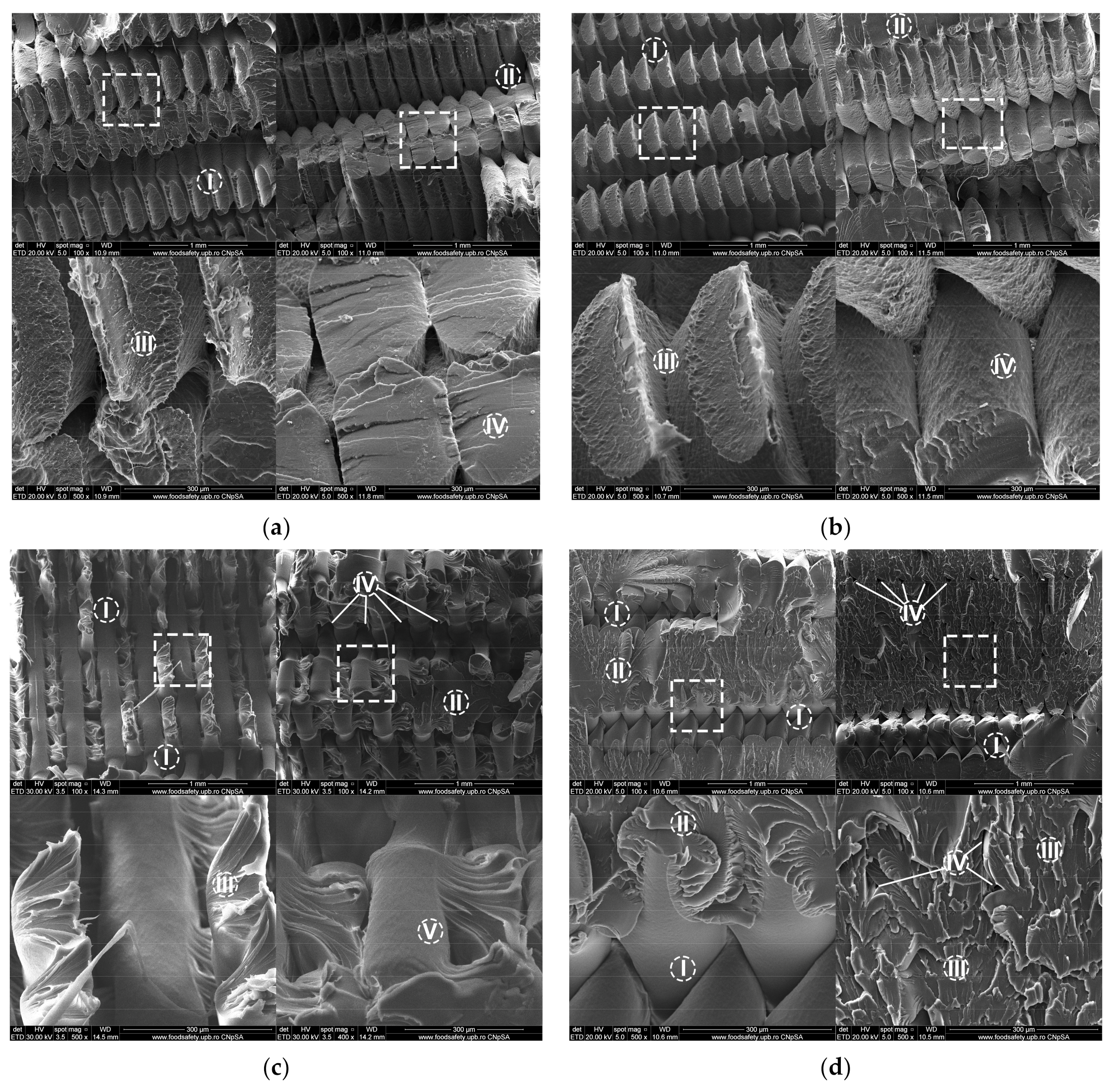Polymers 13 04132 g008