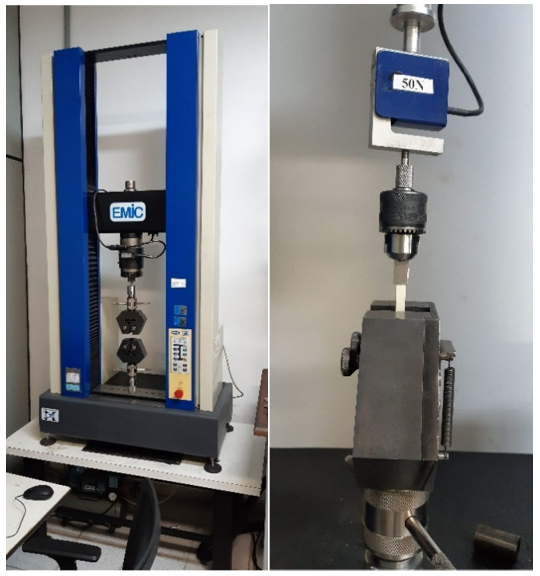 Polymers 13 04135 g001