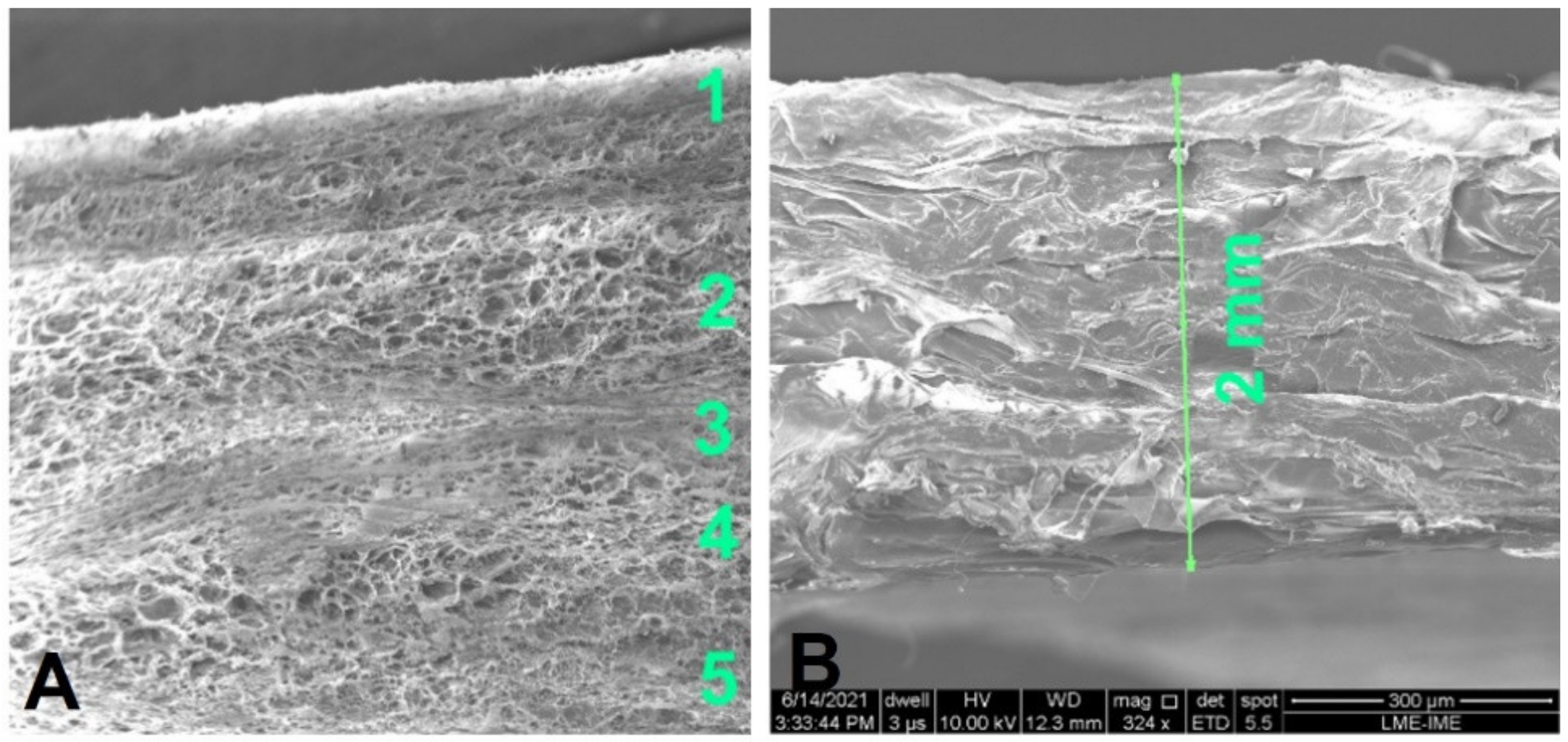 Polymers 13 04135 g002