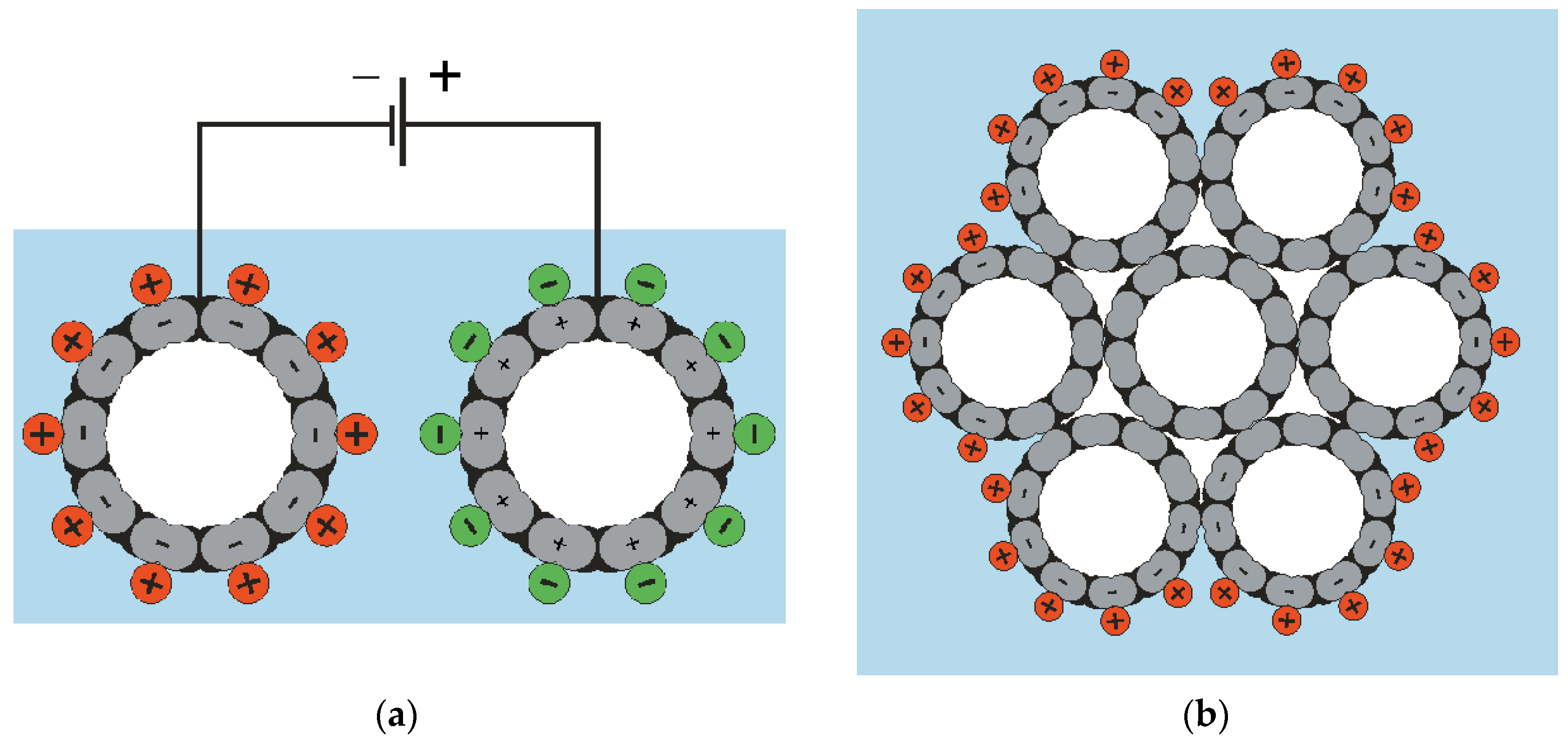 Polymers 13 04137 g002