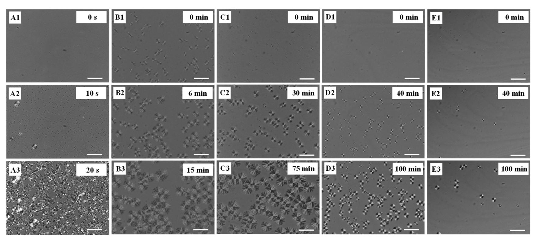 Polymers 13 04138 g002 550