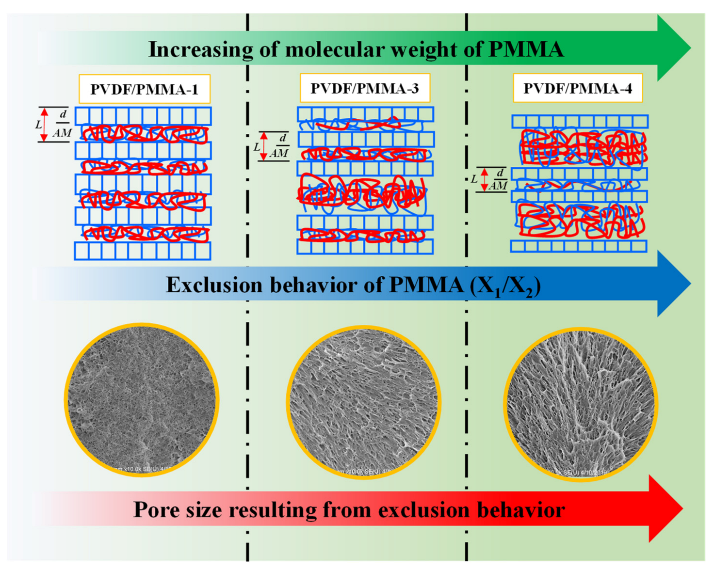 Polymers 13 04138 sch002 550