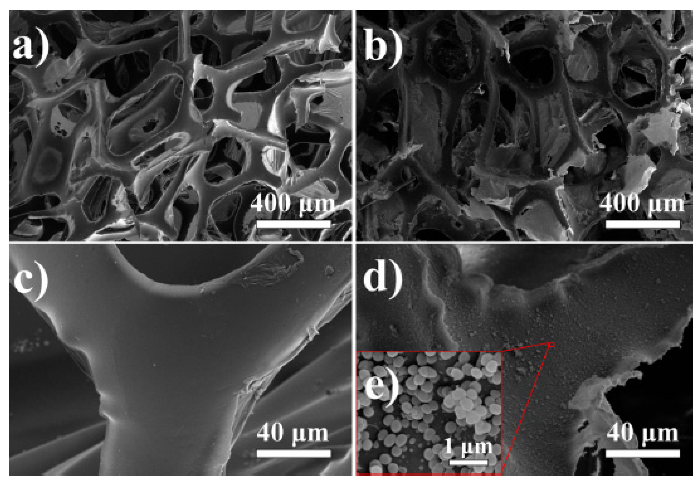 Polymers 13 04142 g006 Polymers 13 04142 g006