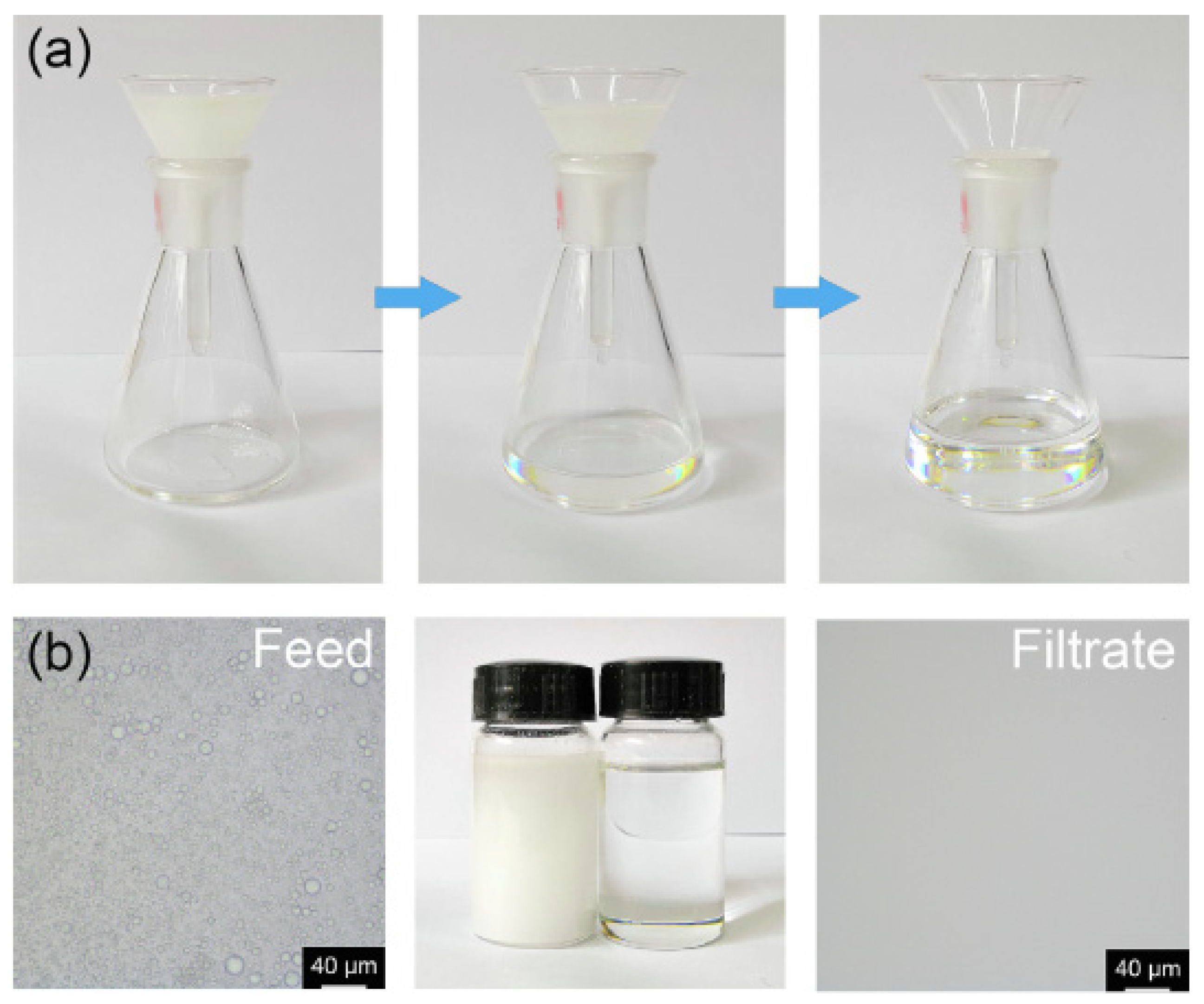 Polymers 13 04142 g014 Polymers 13 04142 g014