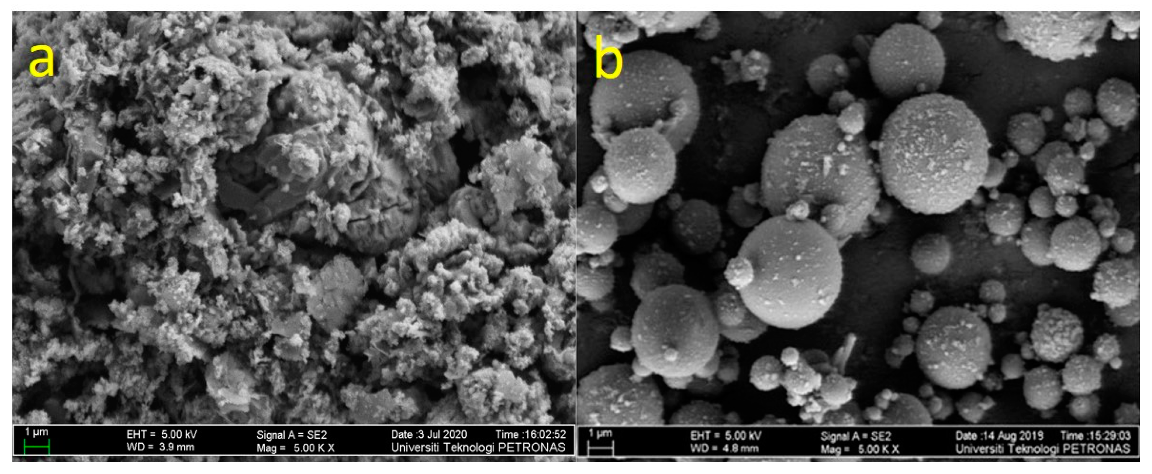 Polymers 13 04143 g001 550