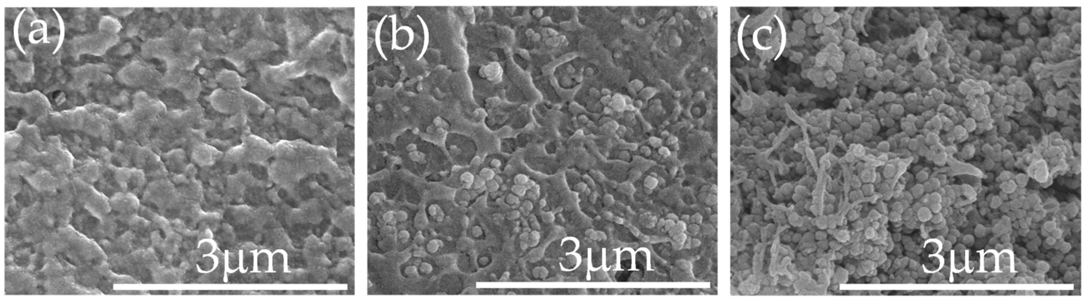 Polymers 13 04144 g004 550