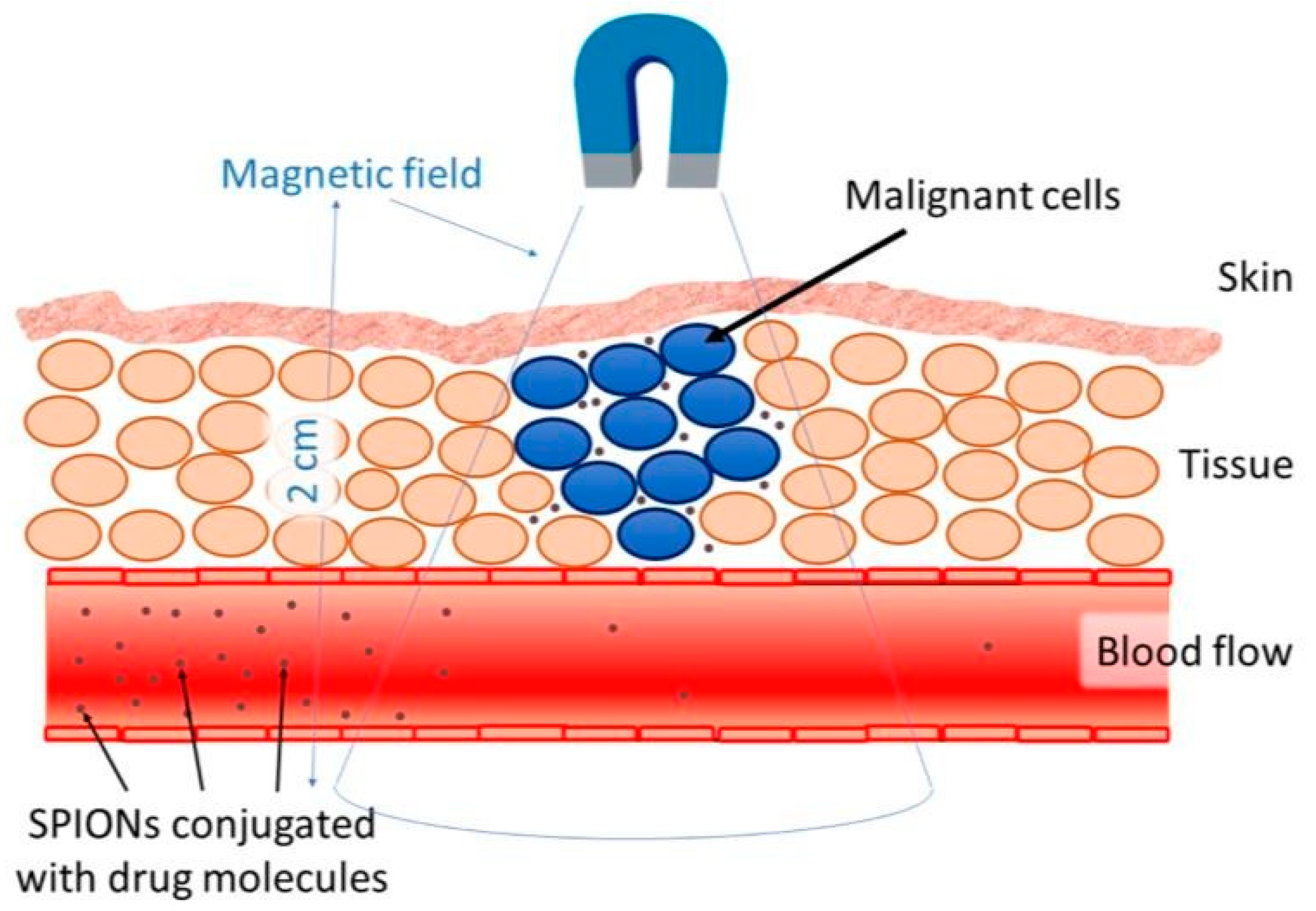 Polymers 13 04146 g005