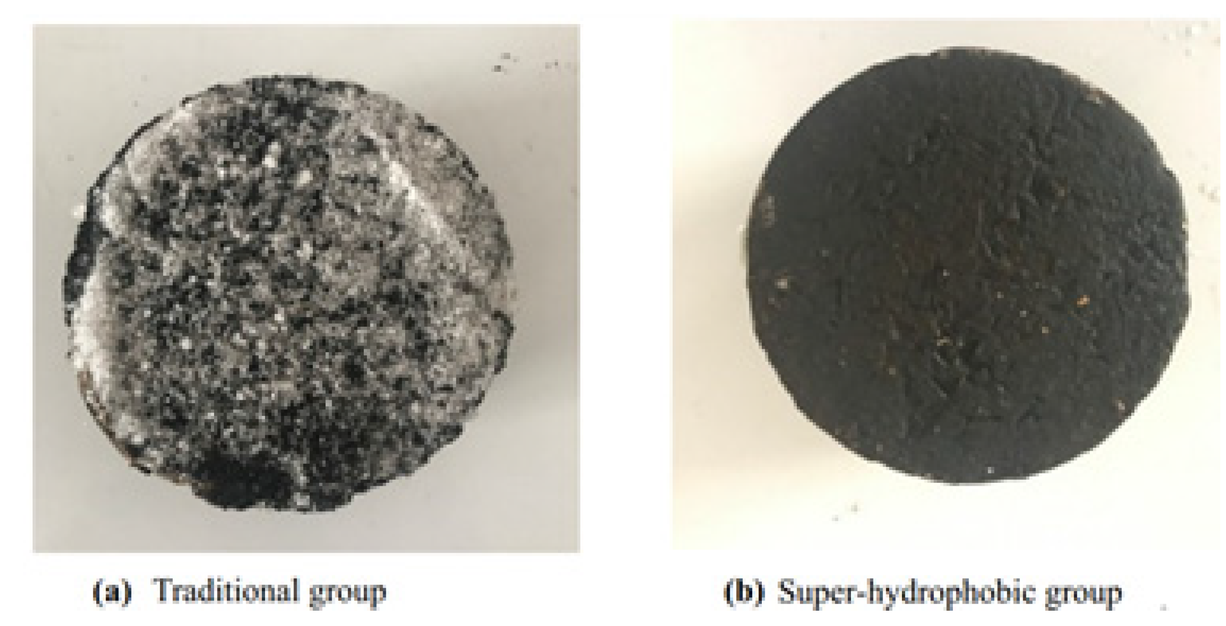 Polymers 13 04149 g005 550