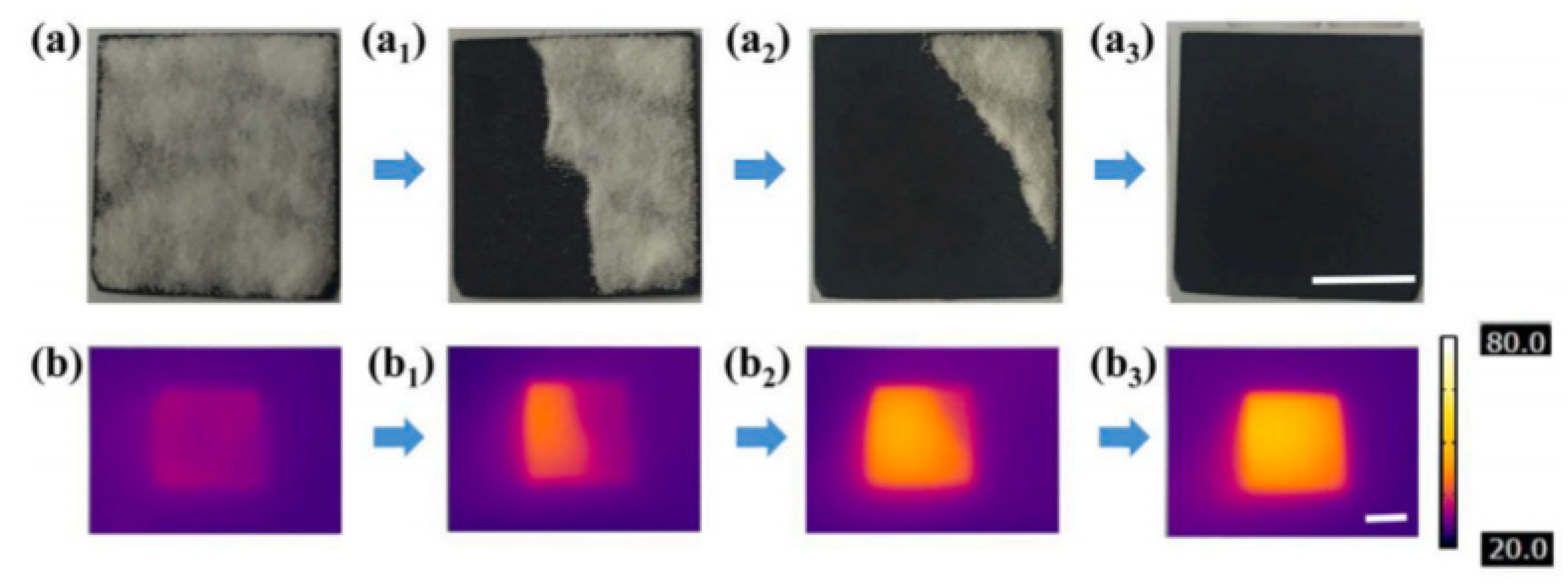 Polymers 13 04149 g007 550