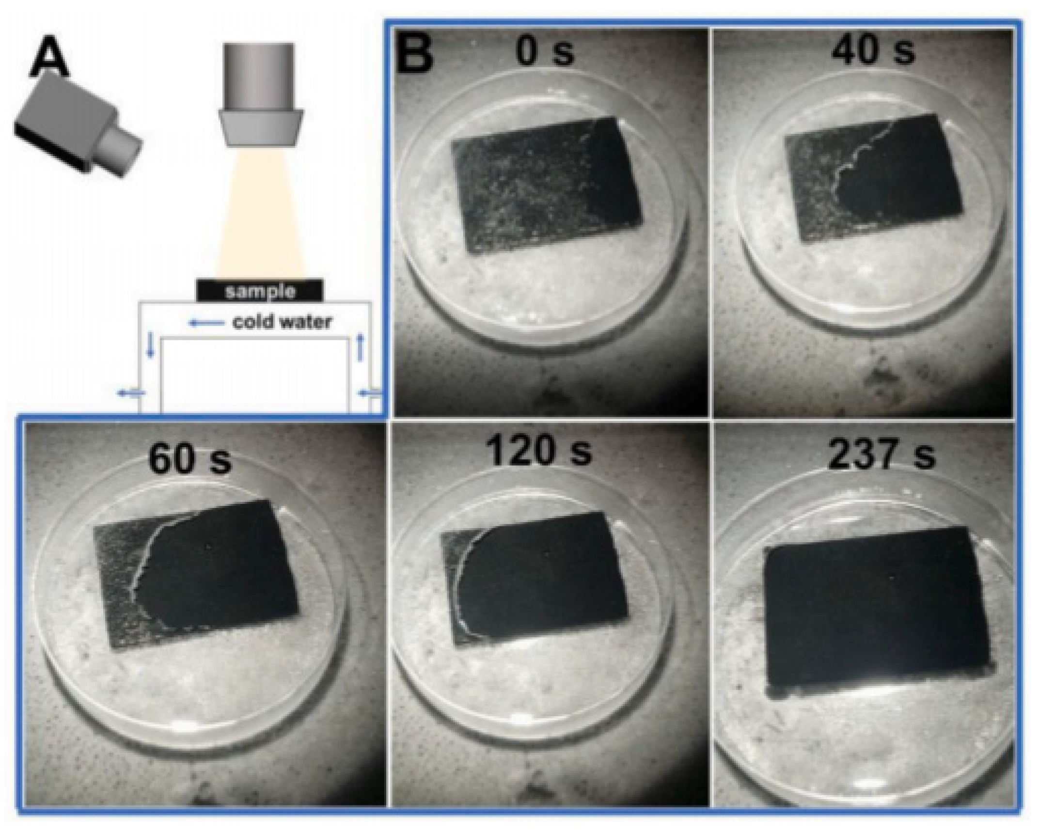Polymers 13 04149 g008 550