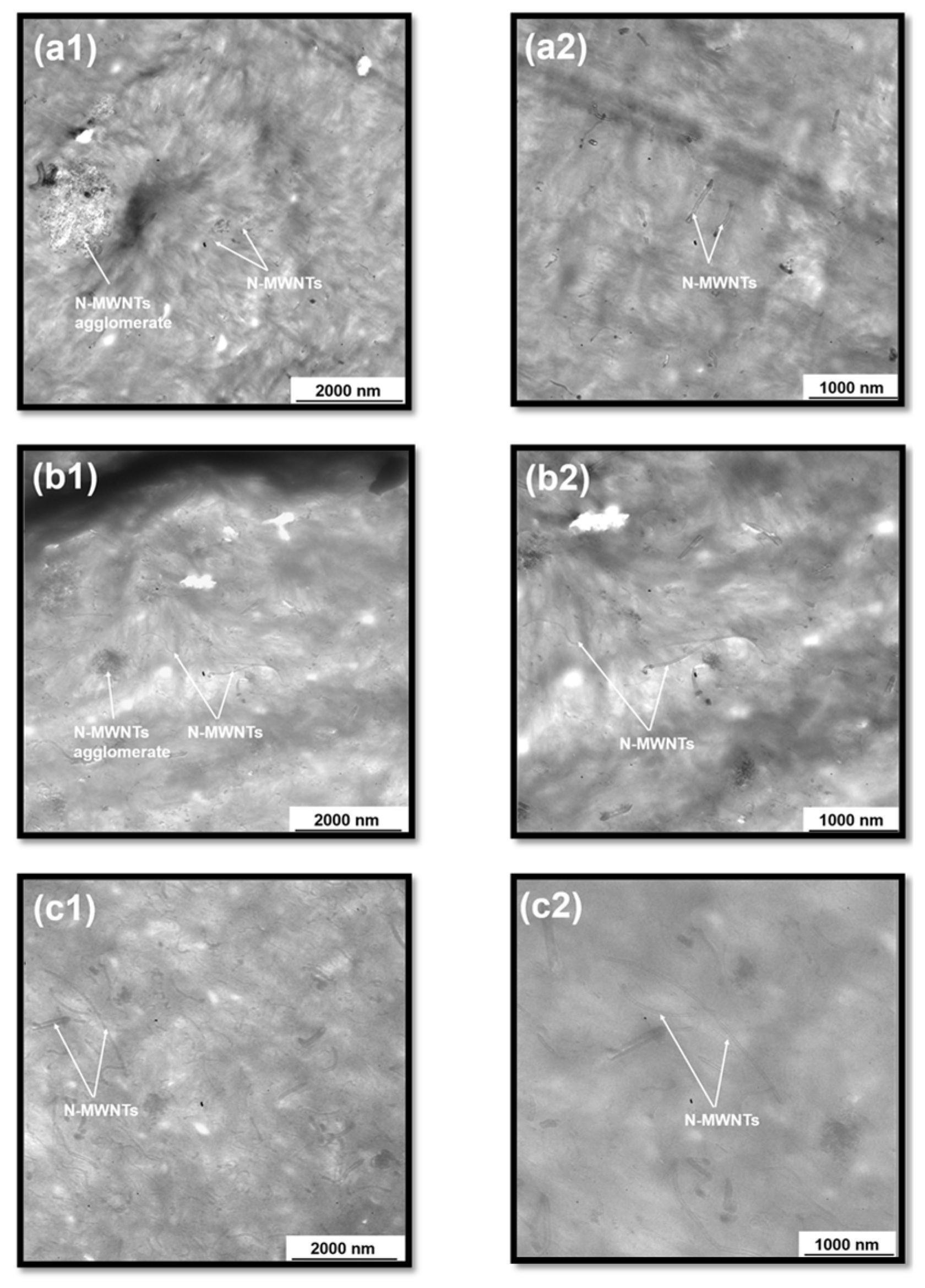 Polymers 13 04156 g007 550
