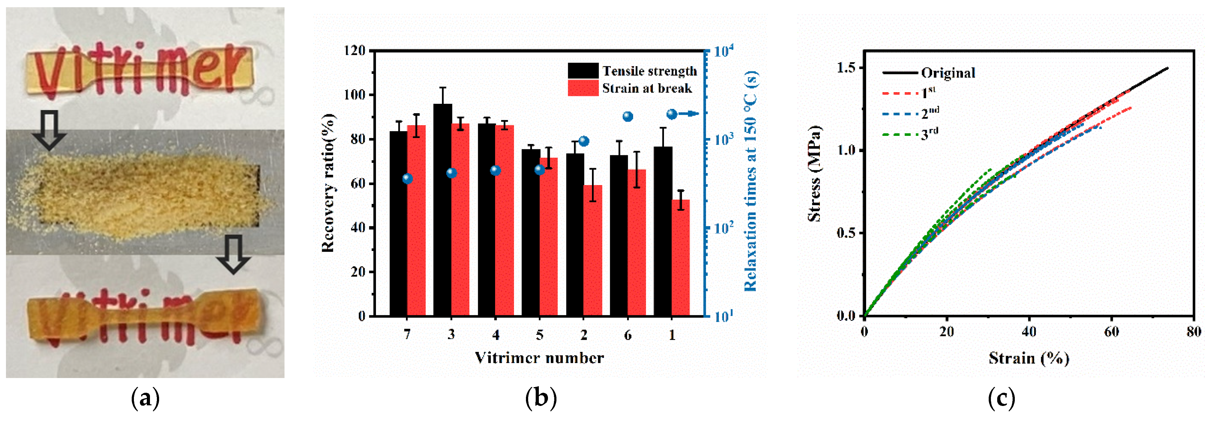 Polymers 13 04157 g012