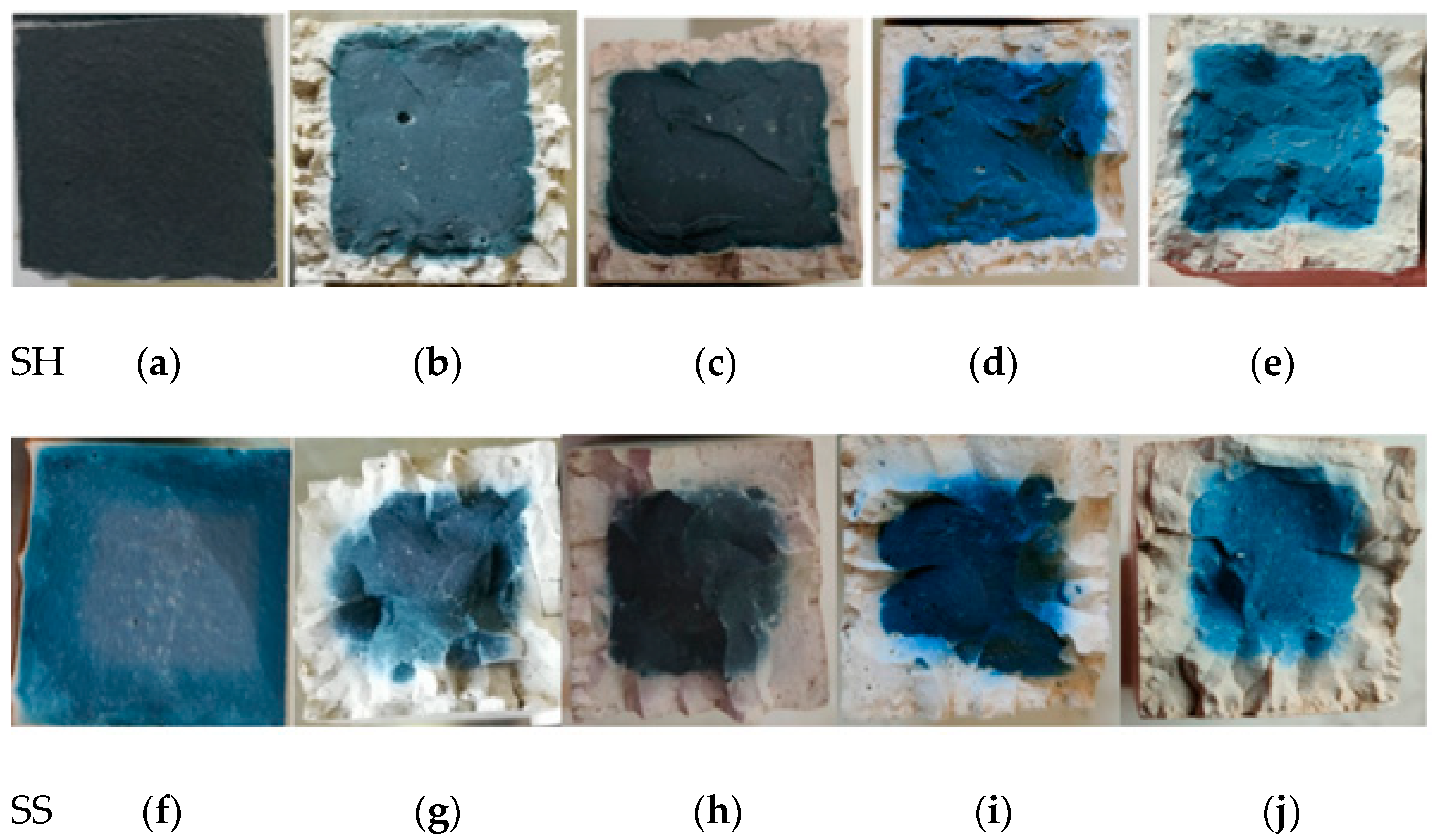 Polymers 13 04160 g004