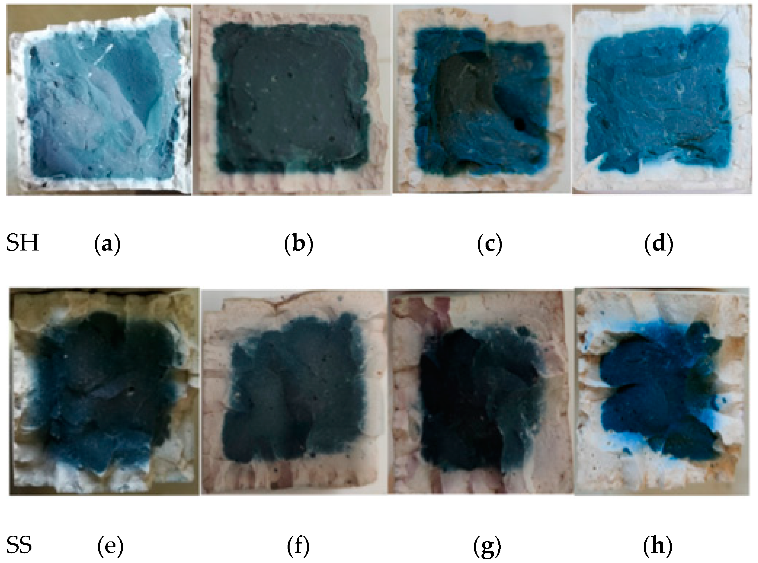 Polymers 13 04160 g006