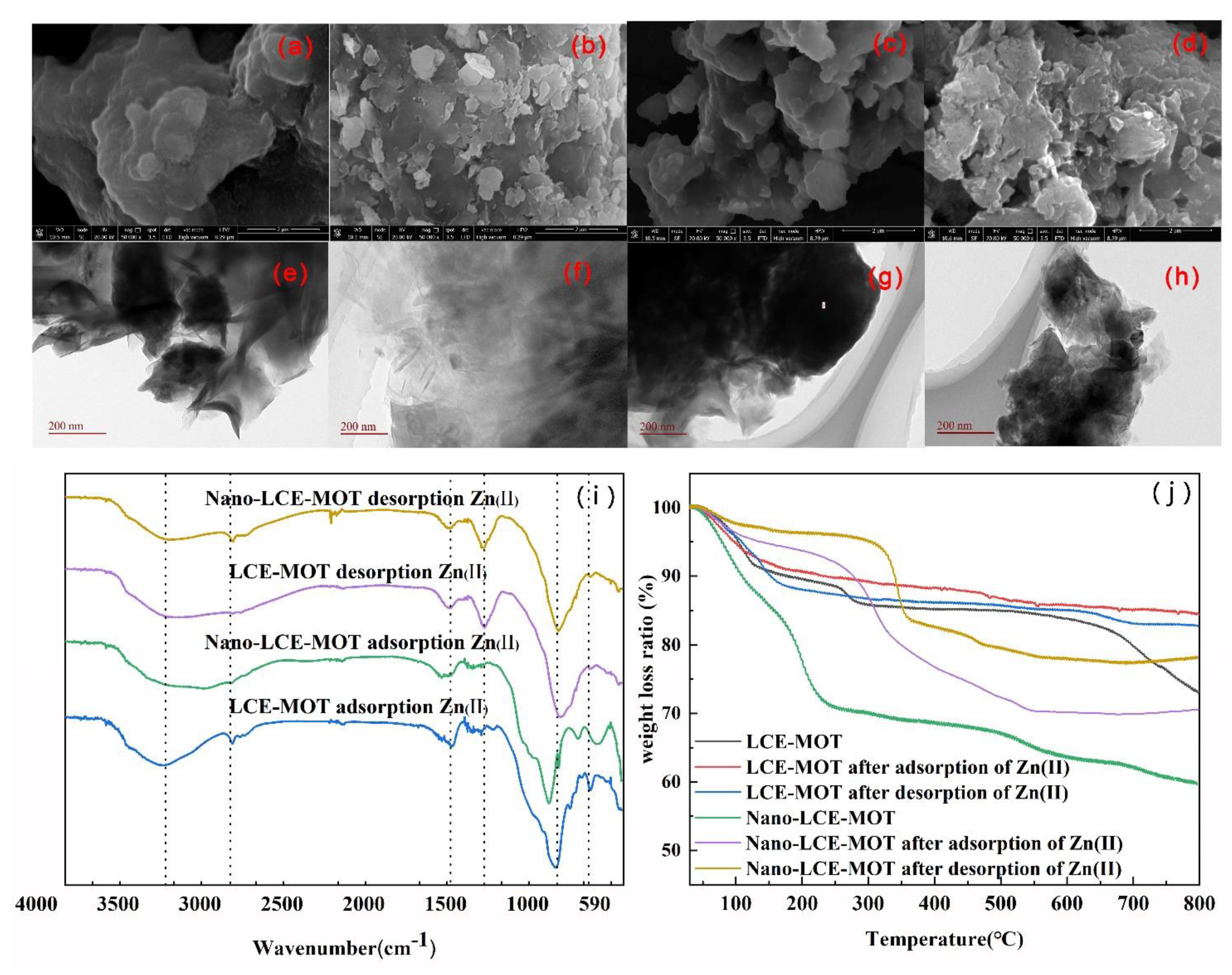 Polymers 13 04161 g008 550