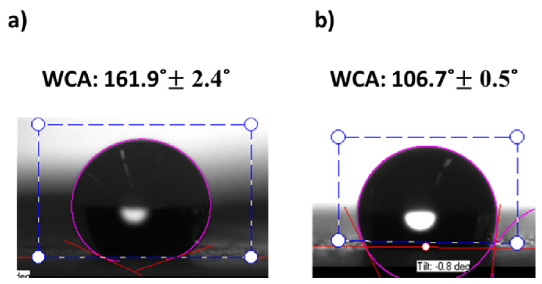 Polymers 13 04164 g019 Polymers 13 04164 g019