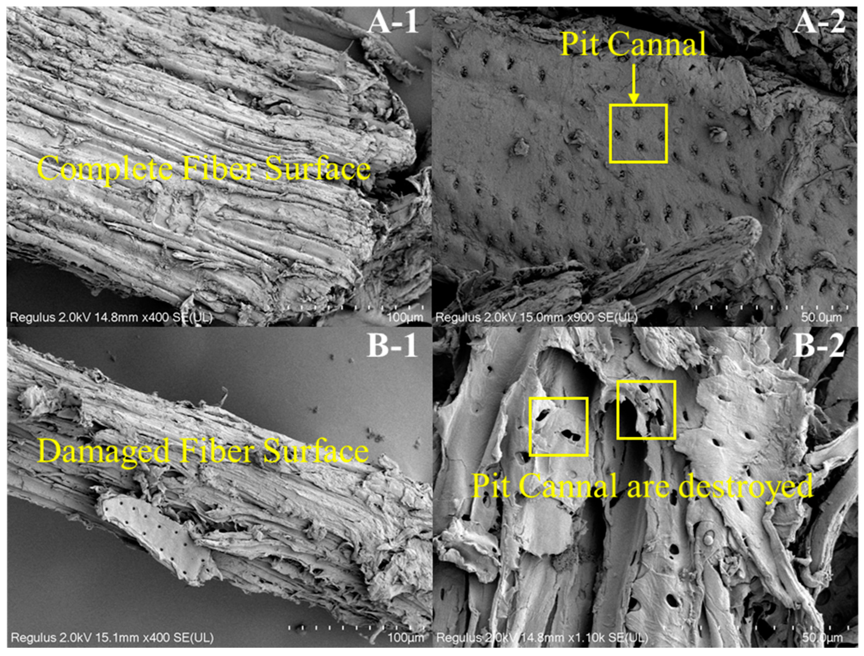 Polymers 13 04166 g003