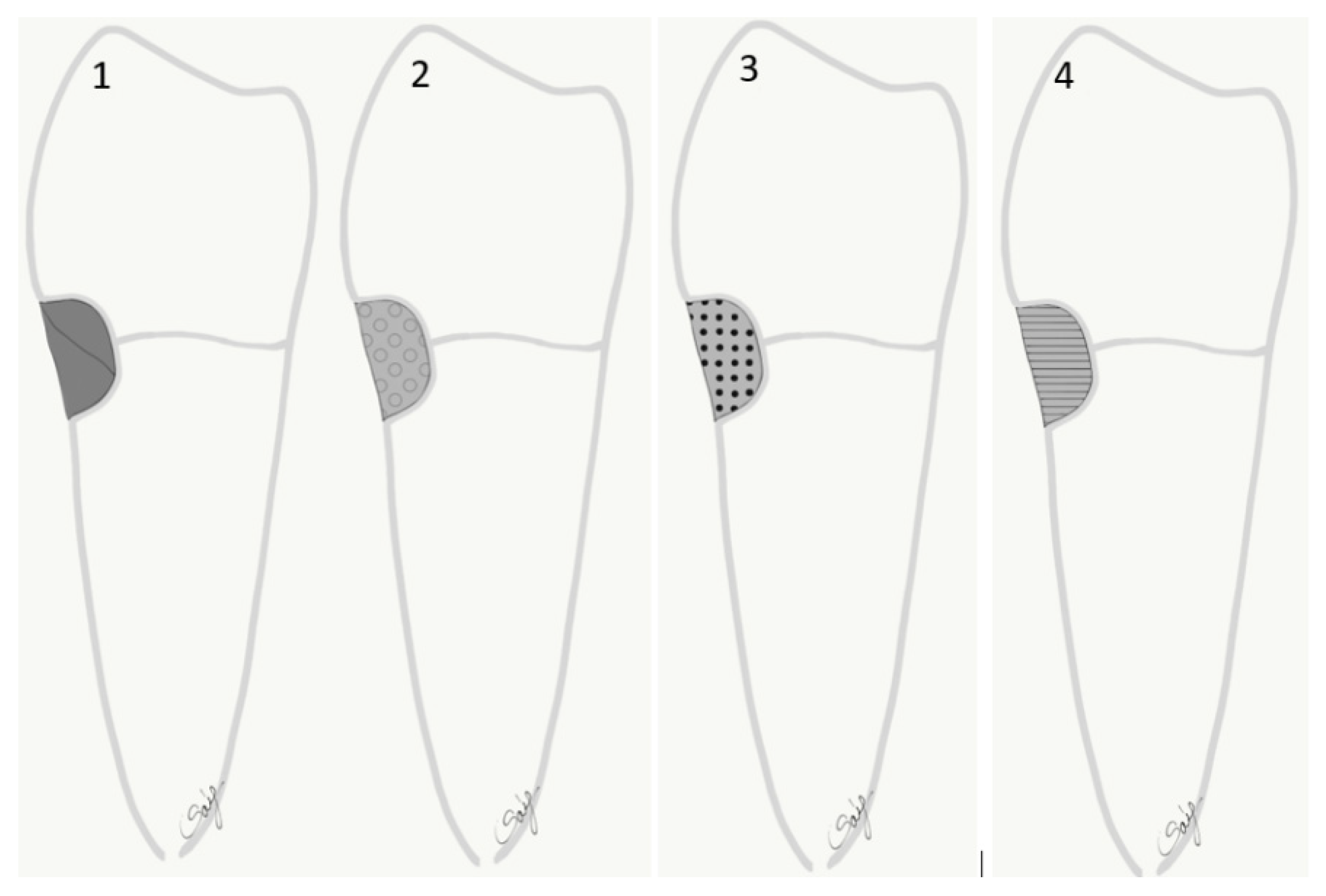 Polymers 13 04170 g001 Polymers 13 04170 g001