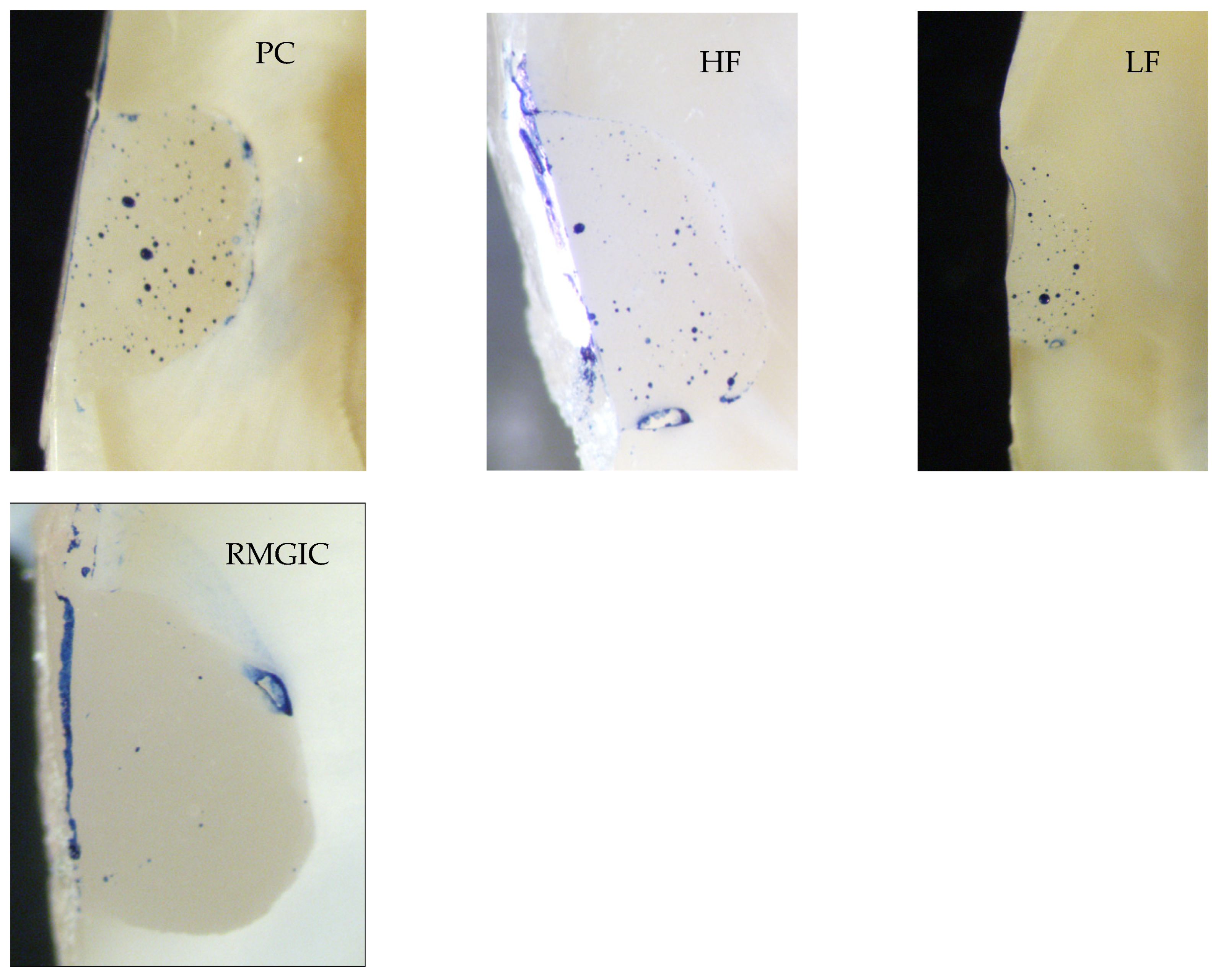 Polymers 13 04170 g003 Polymers 13 04170 g003