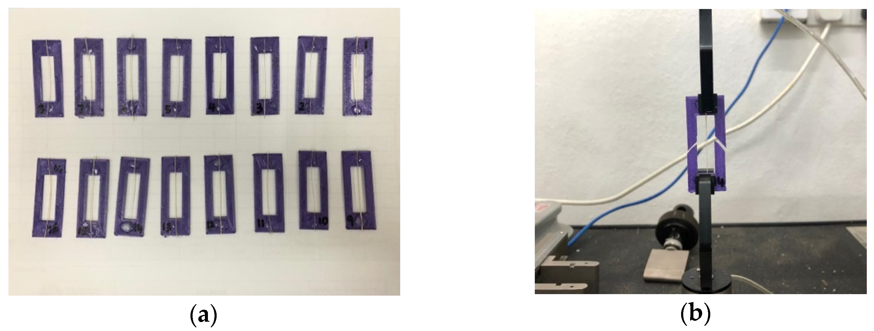 Polymers 13 04171 g002