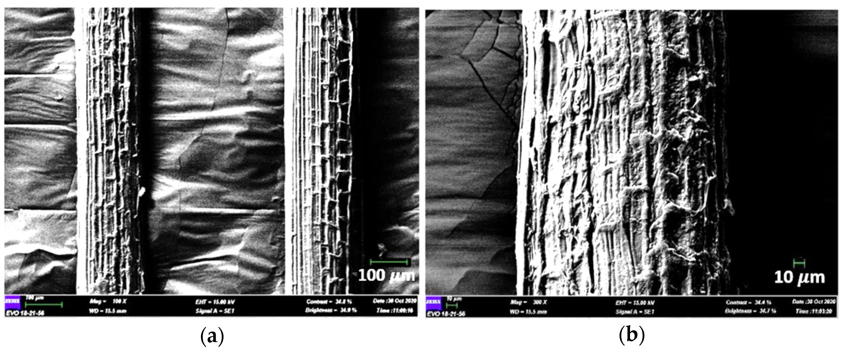Polymers 13 04171 g005