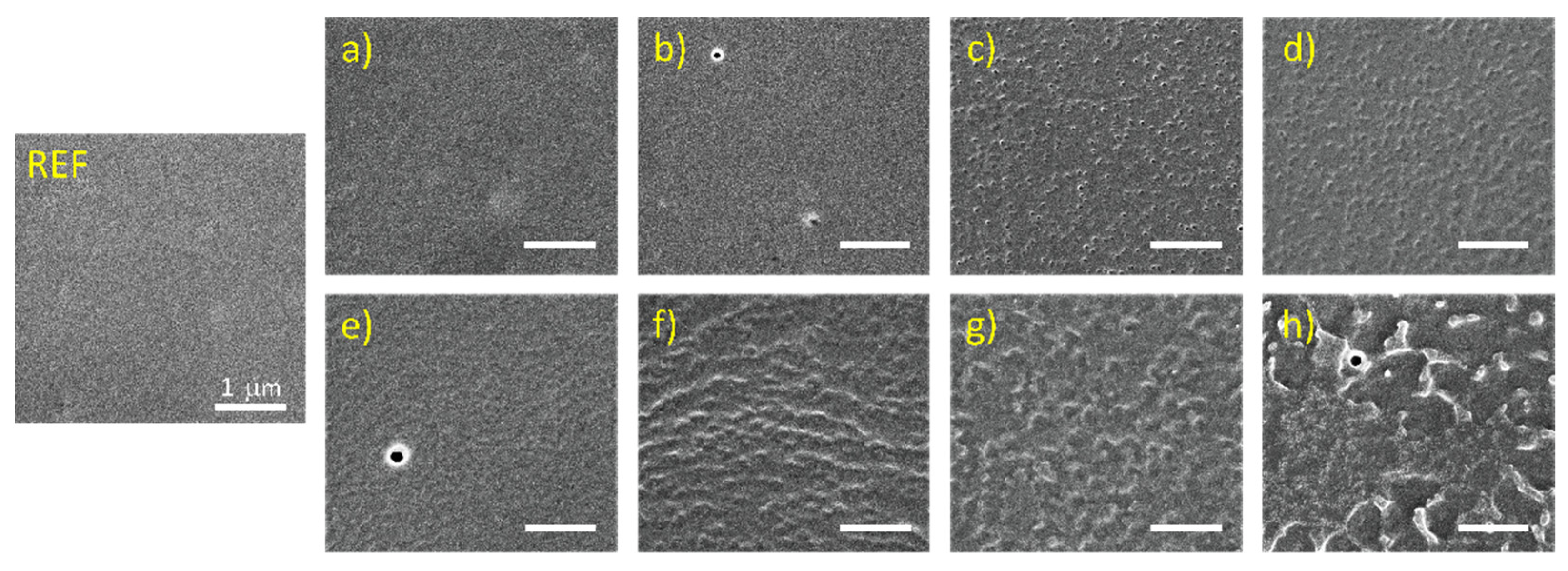 Polymers 13 04173 g002