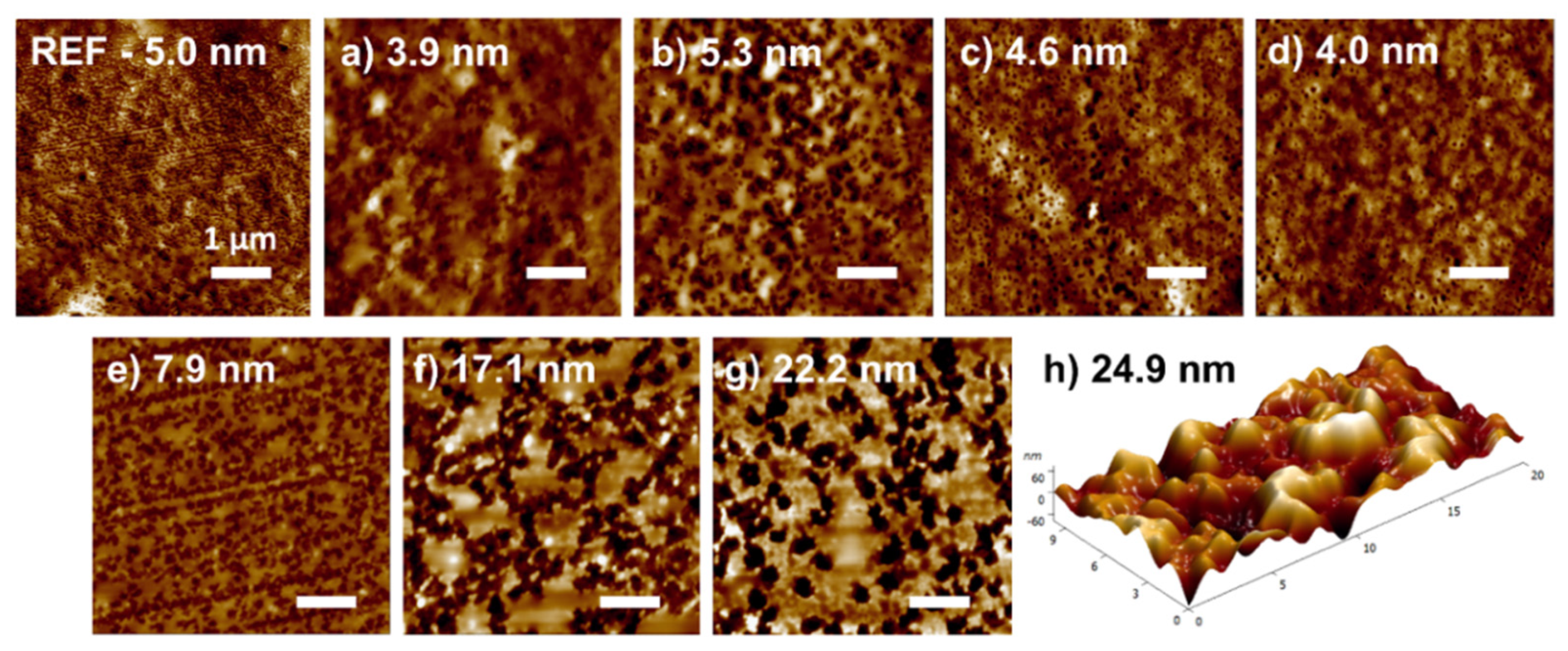 Polymers 13 04173 g003