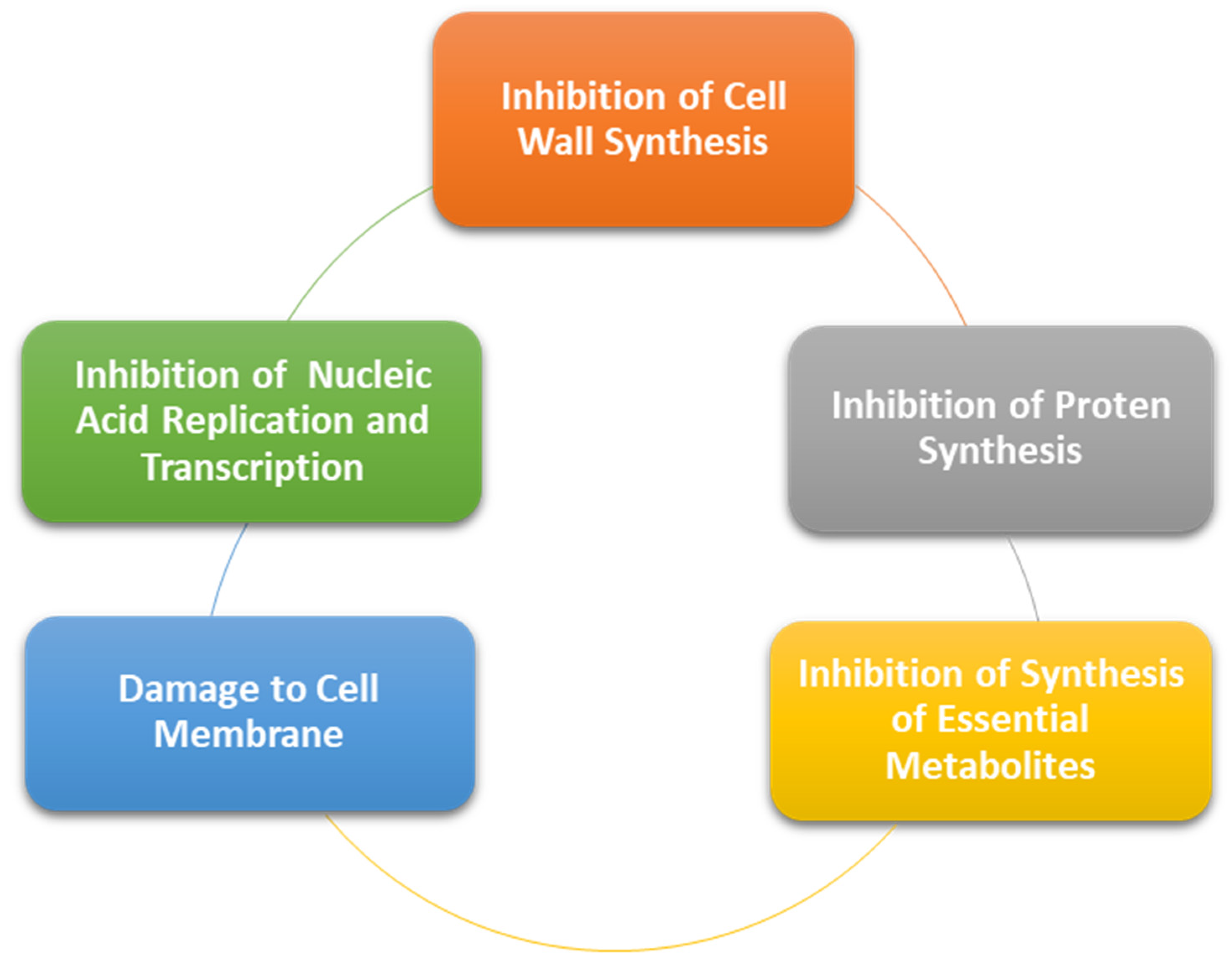 Polymers 13 04175 g006