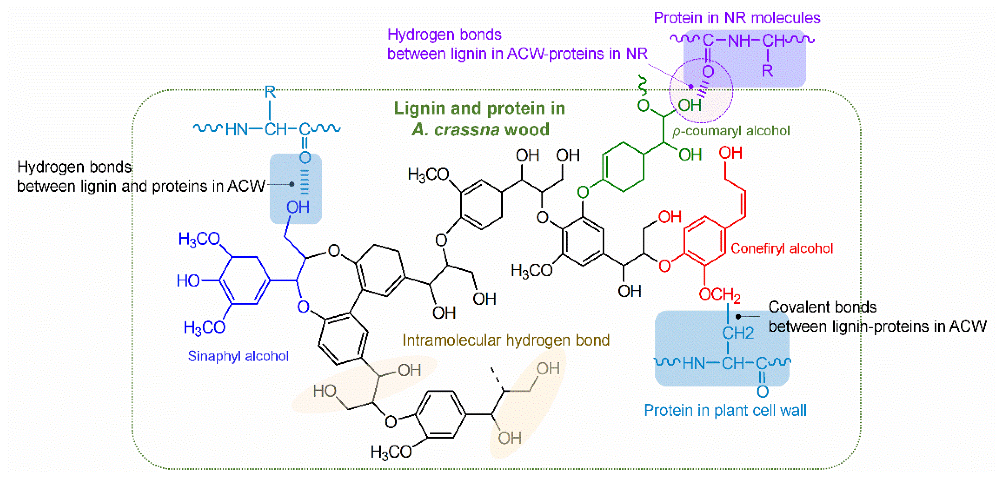 Polymers 13 04178 g005
