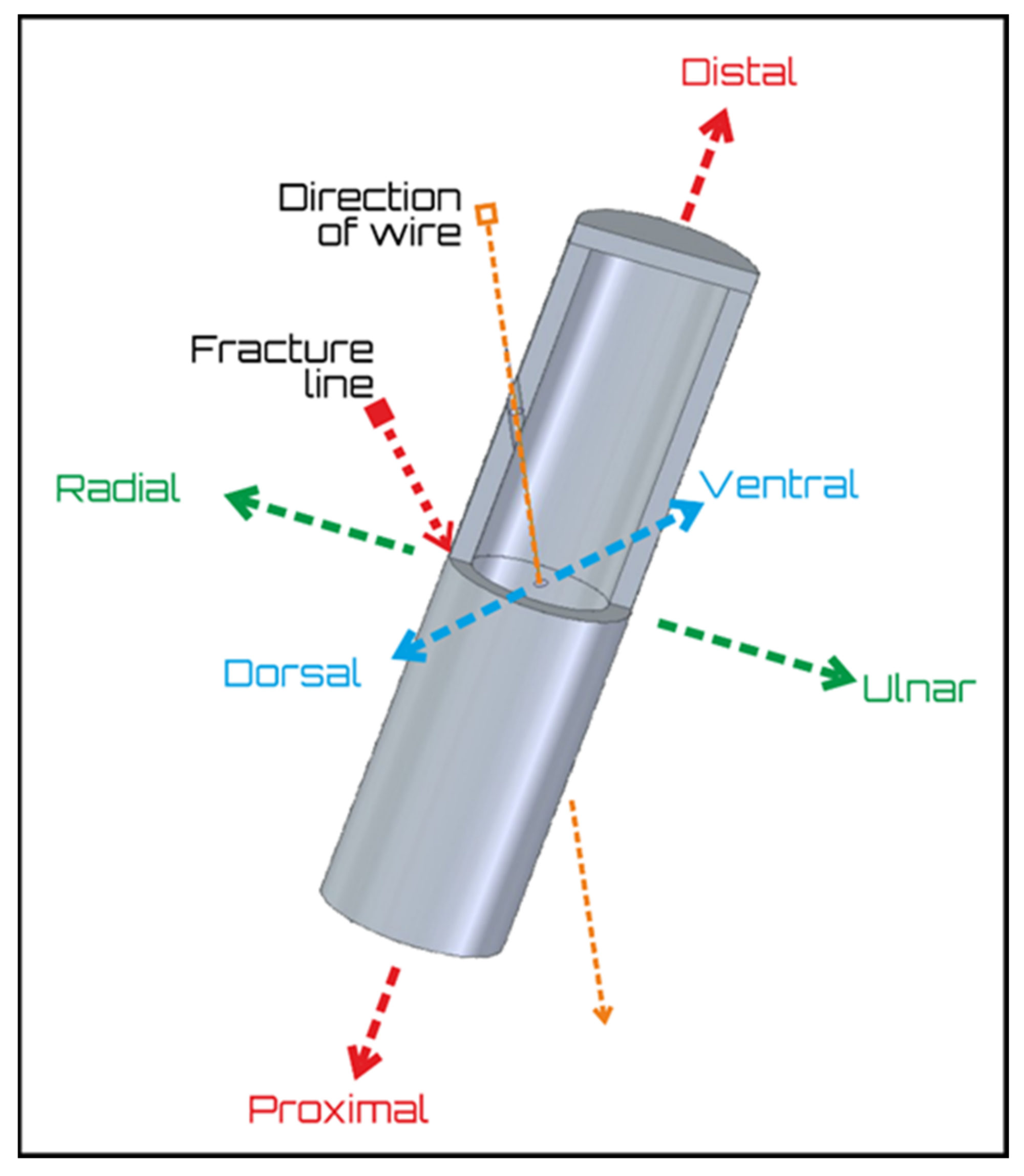 Polymers 13 04179 g001 Polymers 13 04179 g001