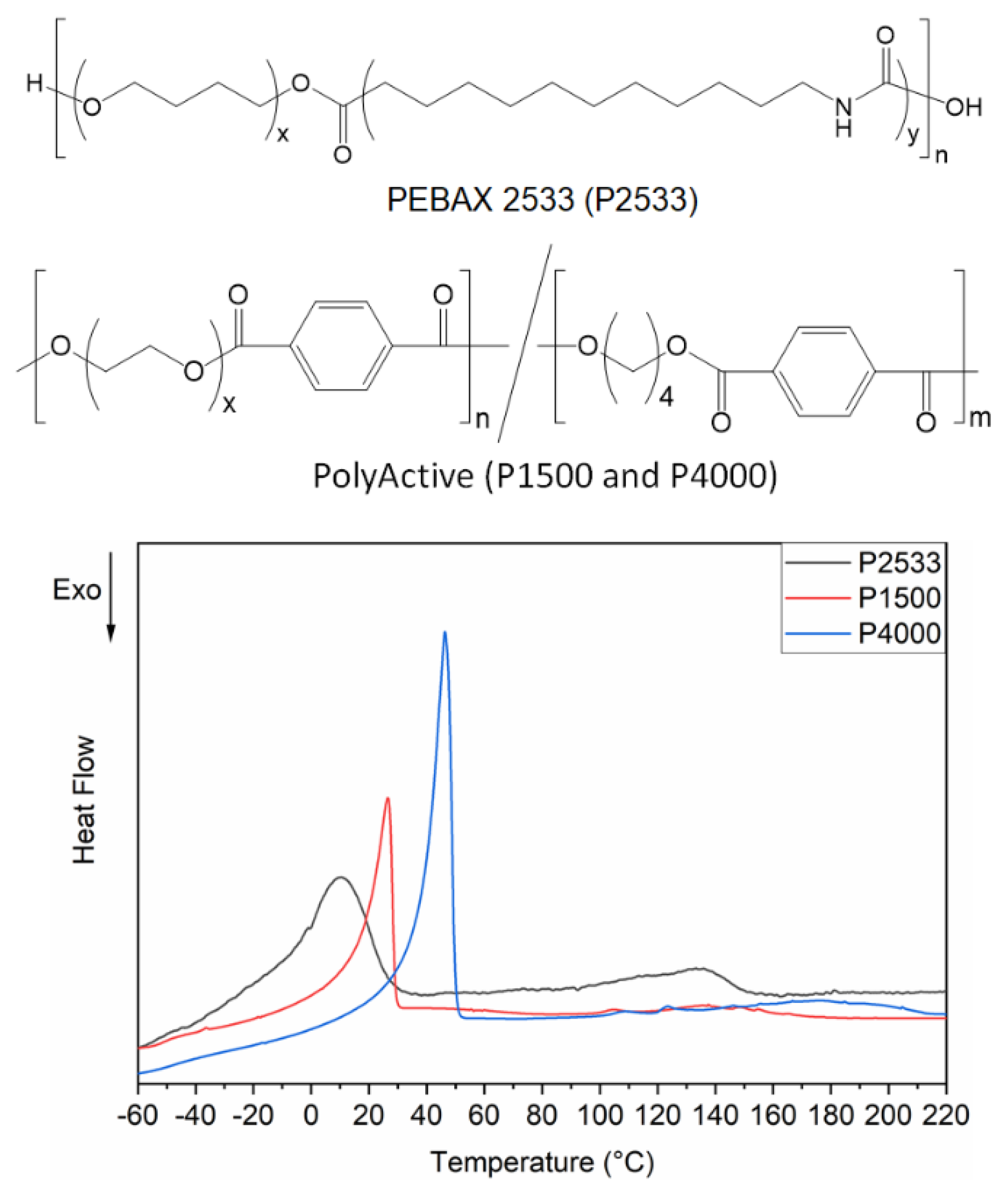 Polymers 13 04181 g001
