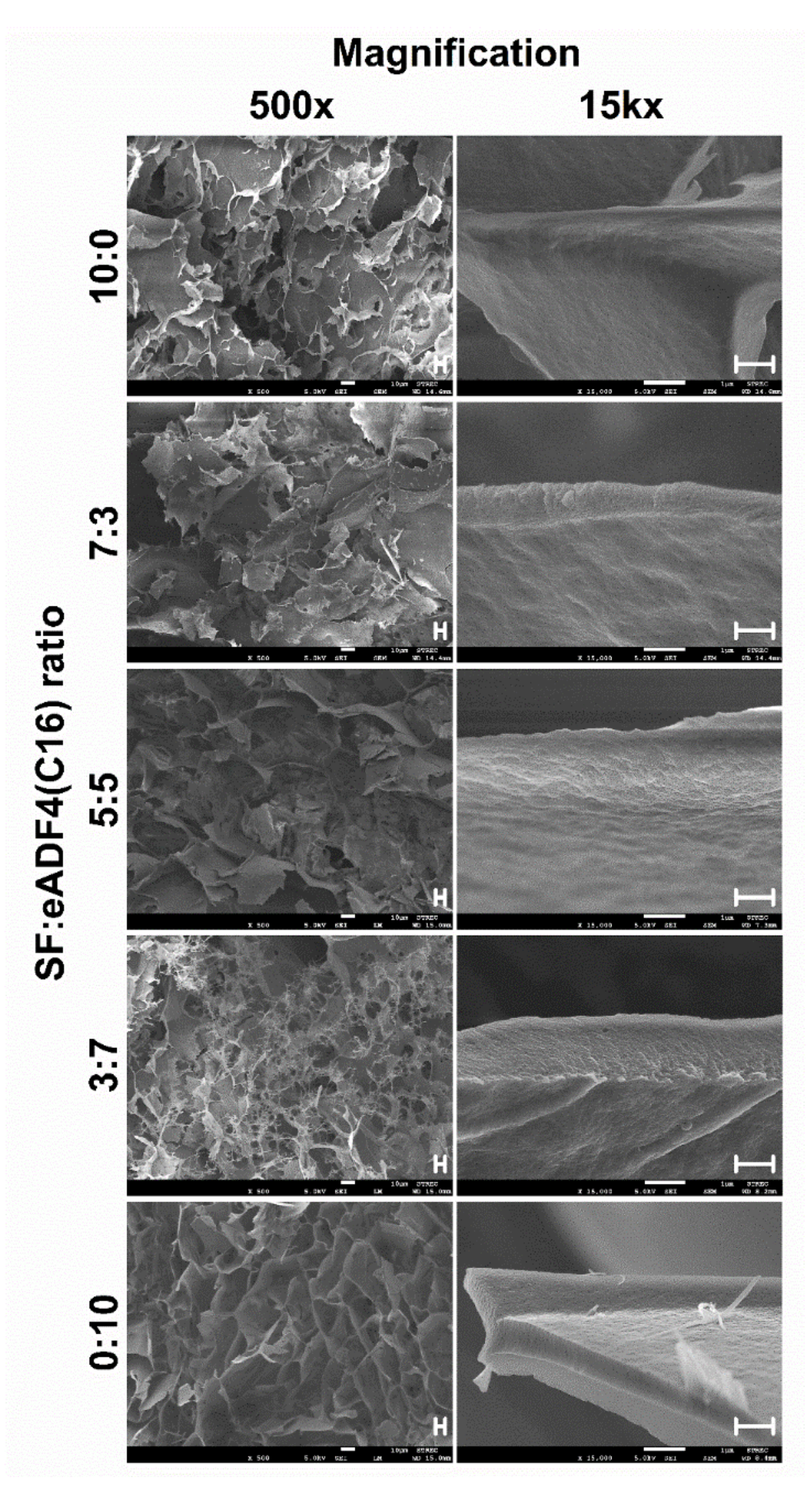 Polymers 13 04182 g002 550