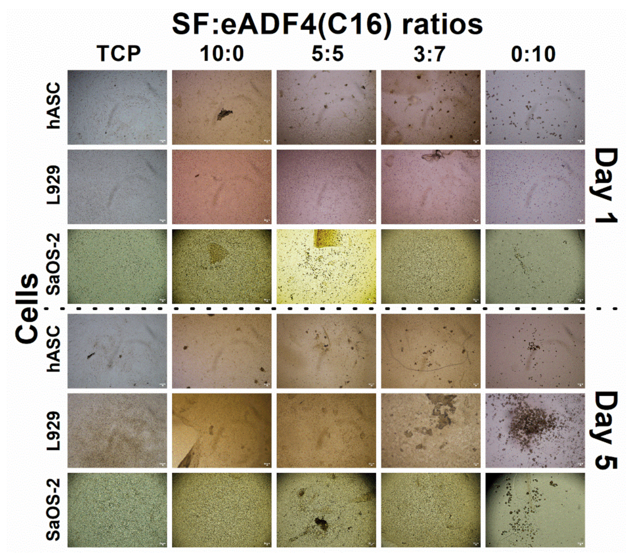 Polymers 13 04182 g005 550