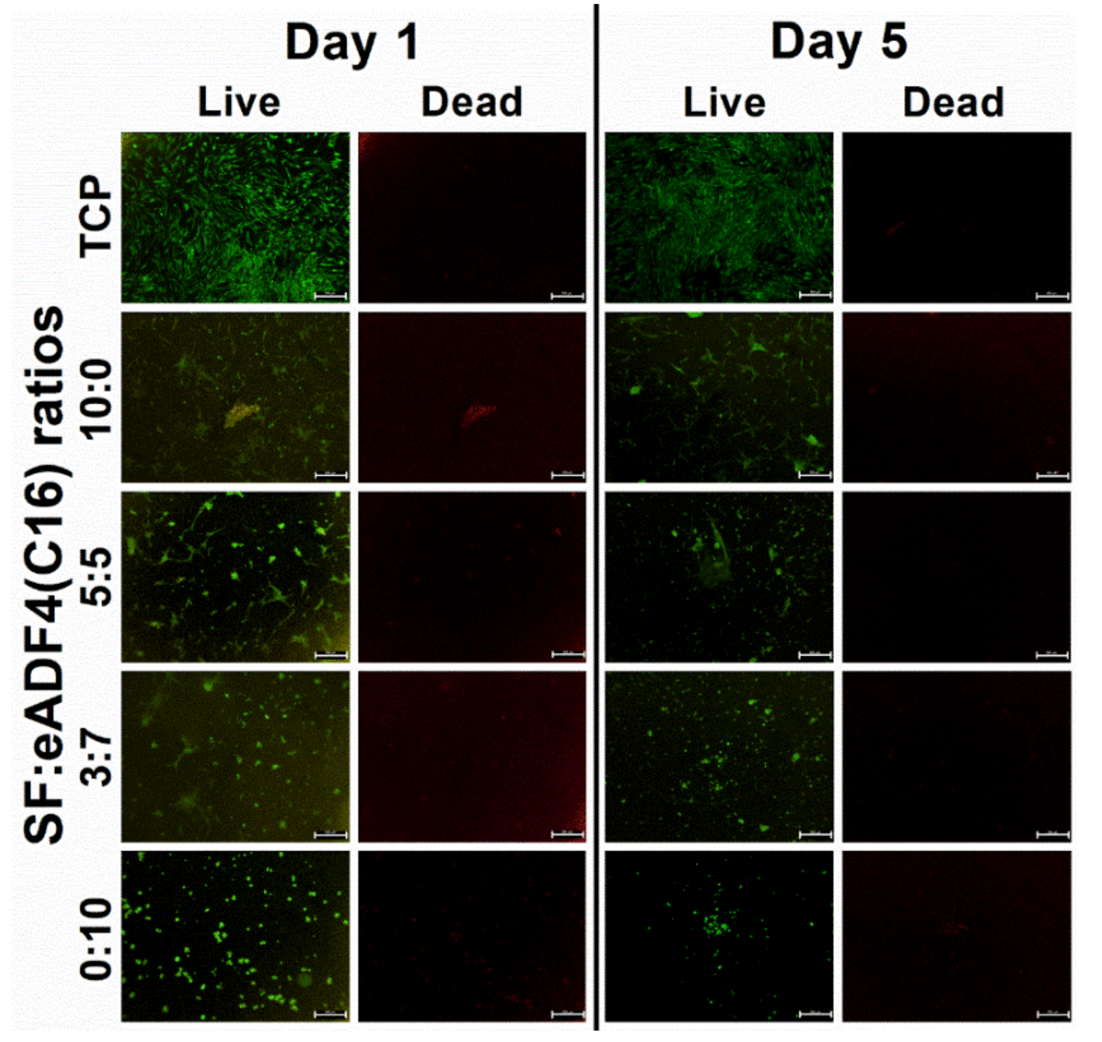 Polymers 13 04182 g006 550