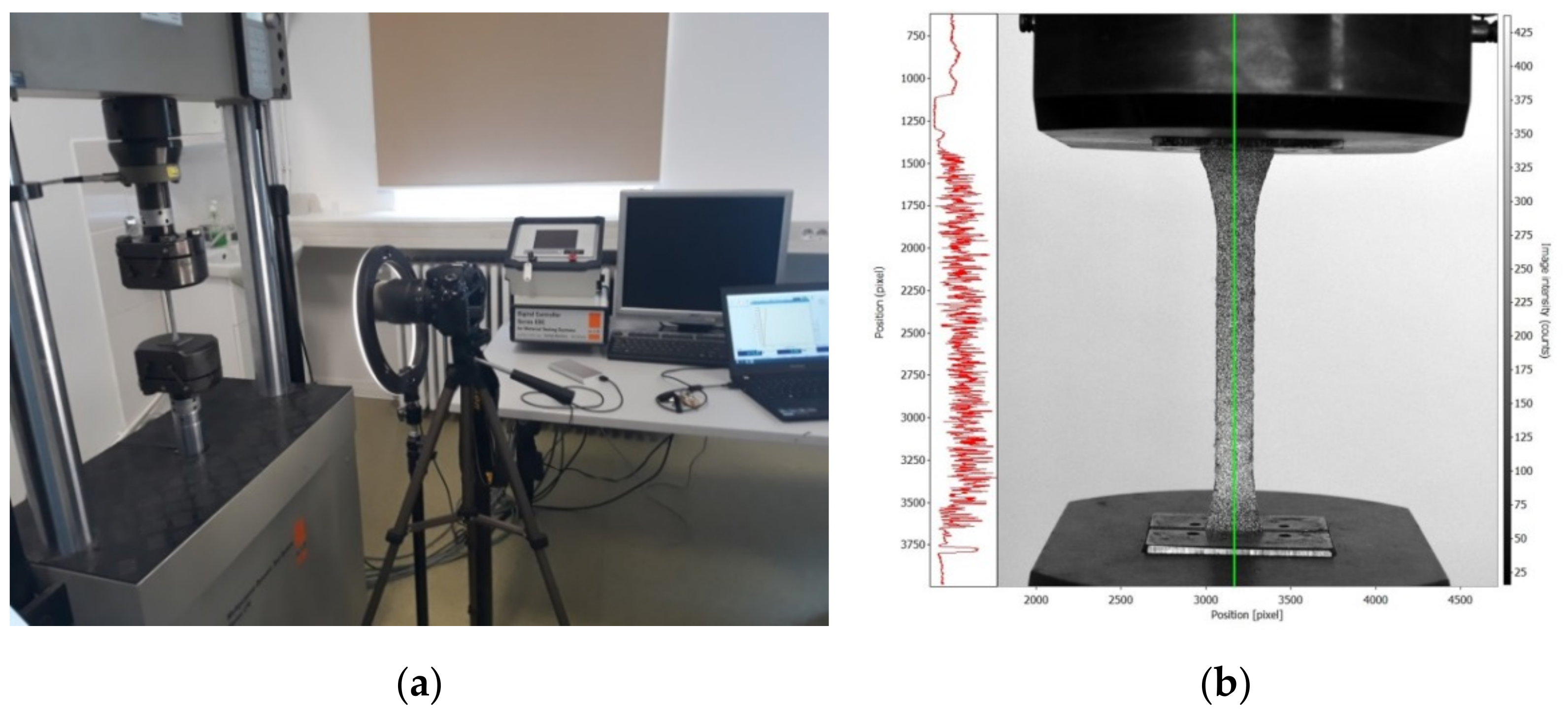 Polymers 13 04184 g003