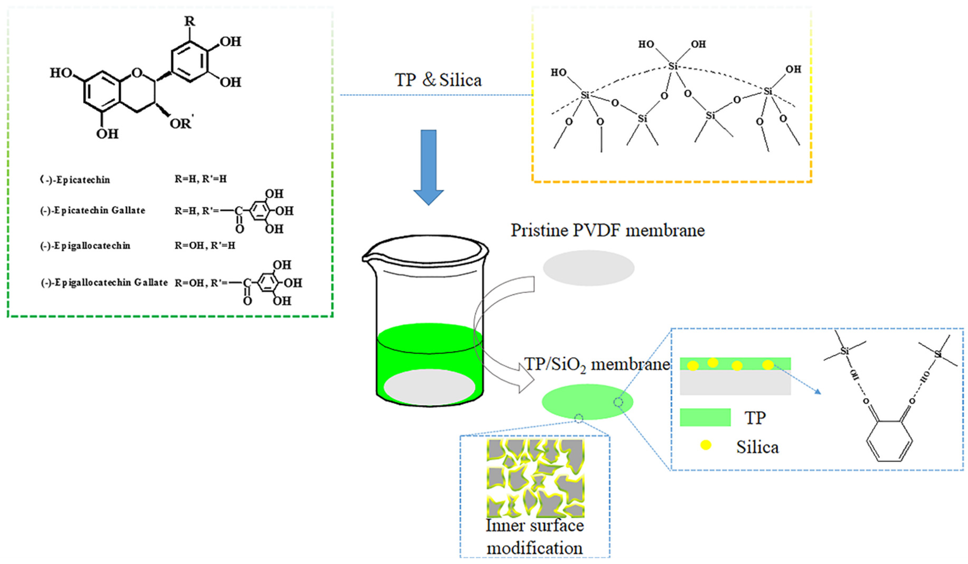 Polymers 13 04186 g001
