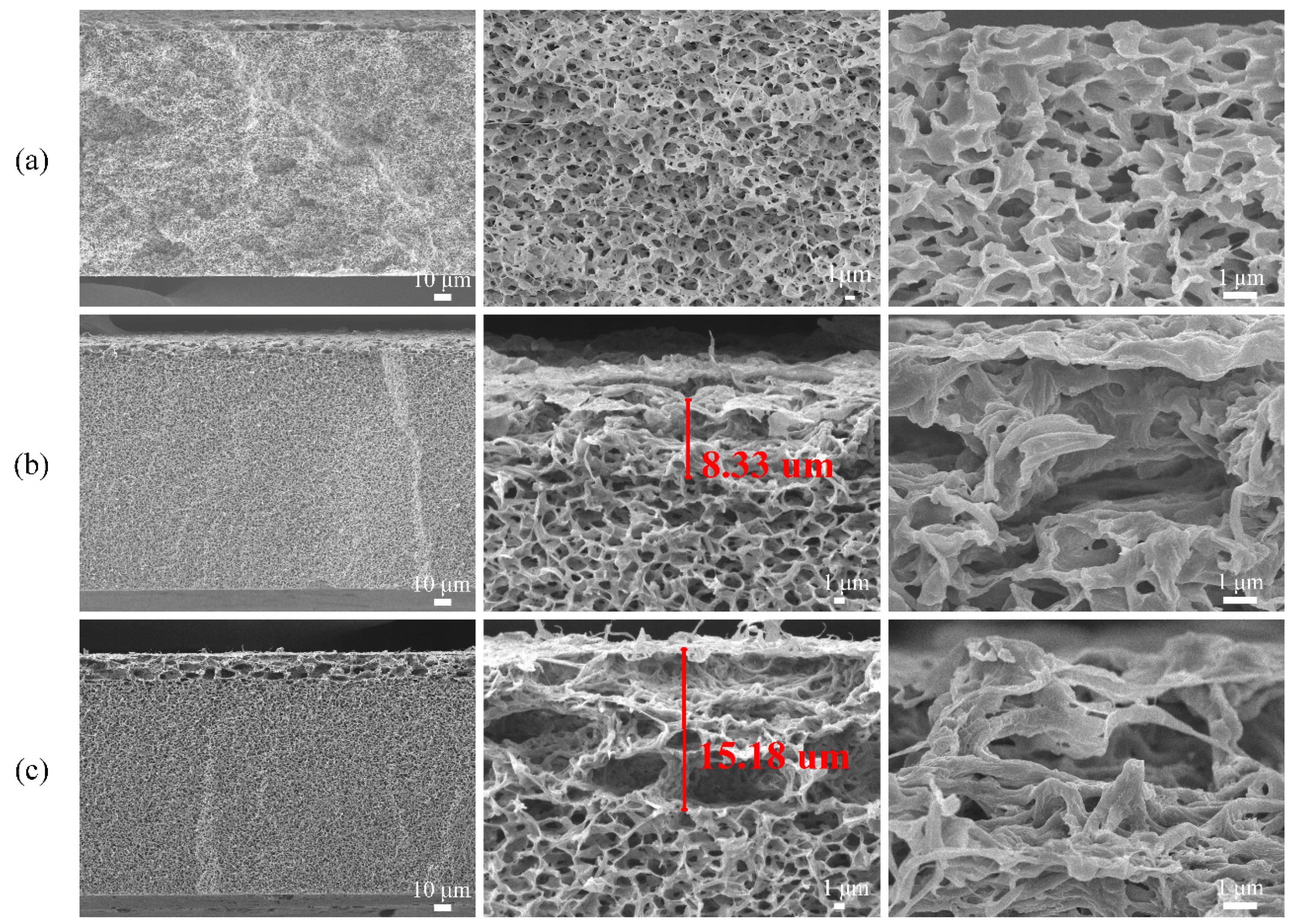 Polymers 13 04186 g002