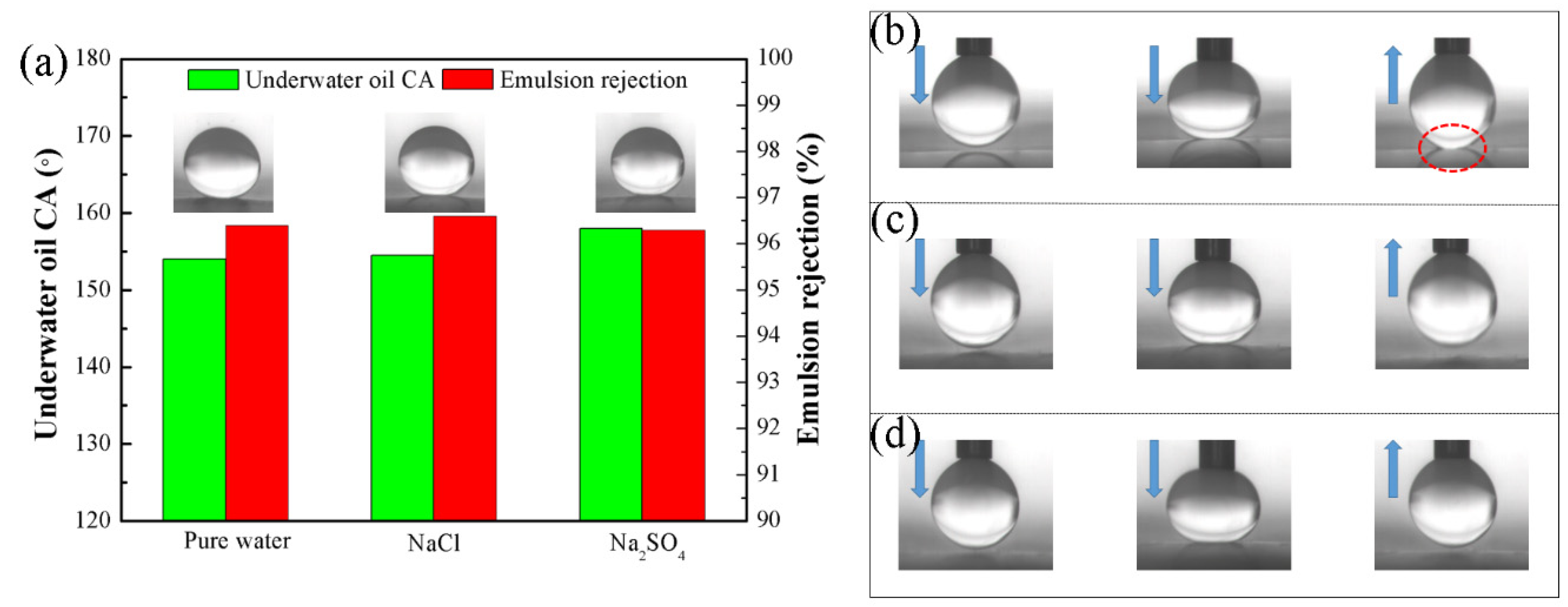 Polymers 13 04186 g004