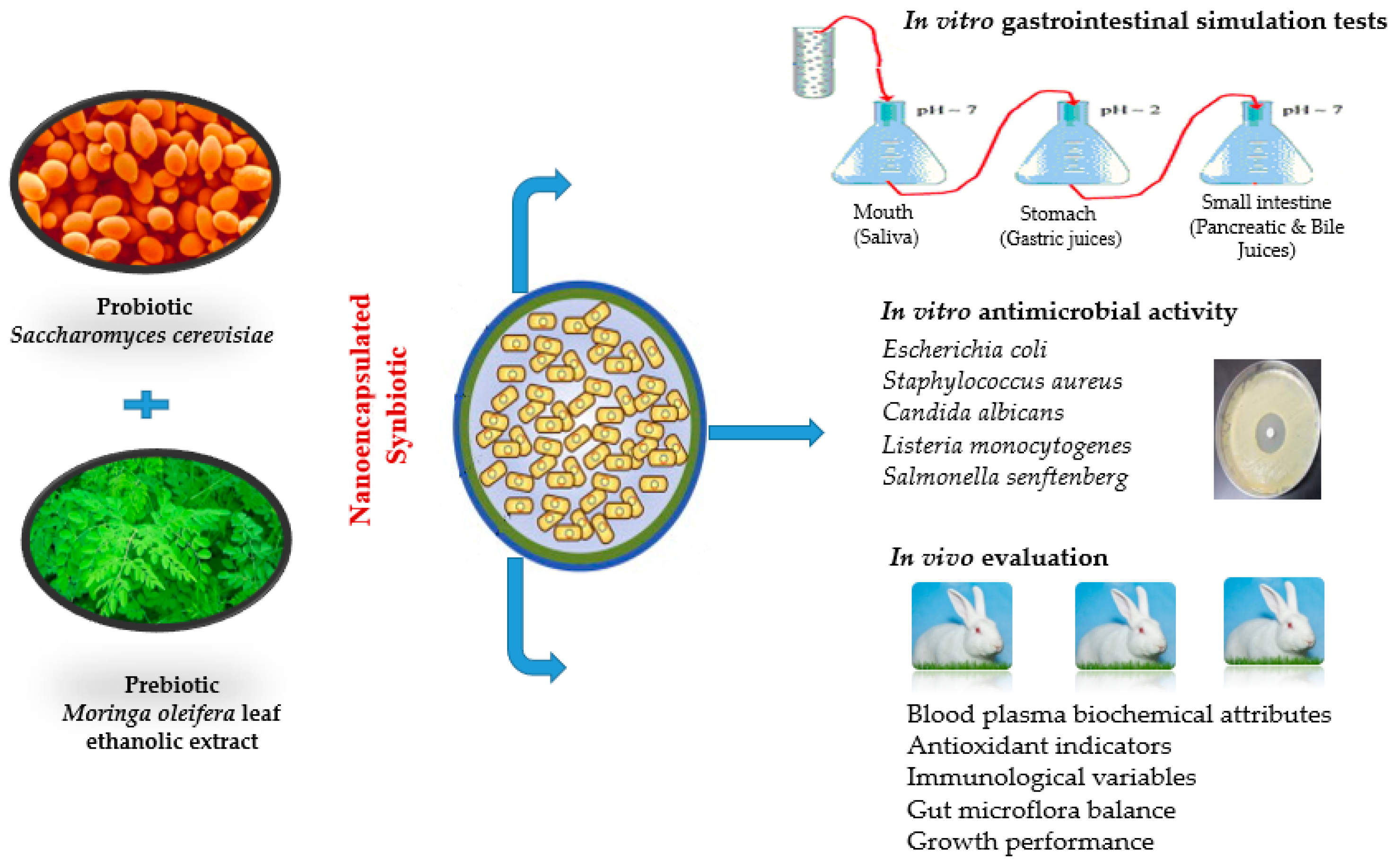 Polymers 13 04191 g001