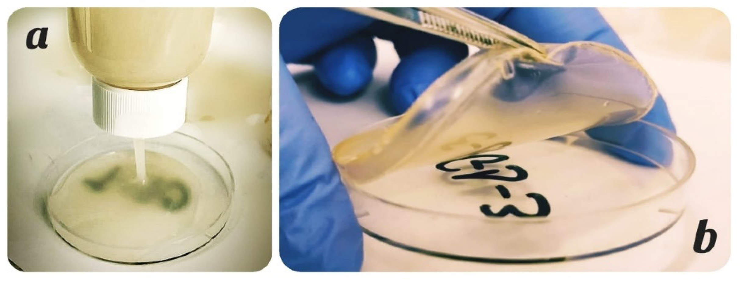 Polymers 13 04194 g001 550