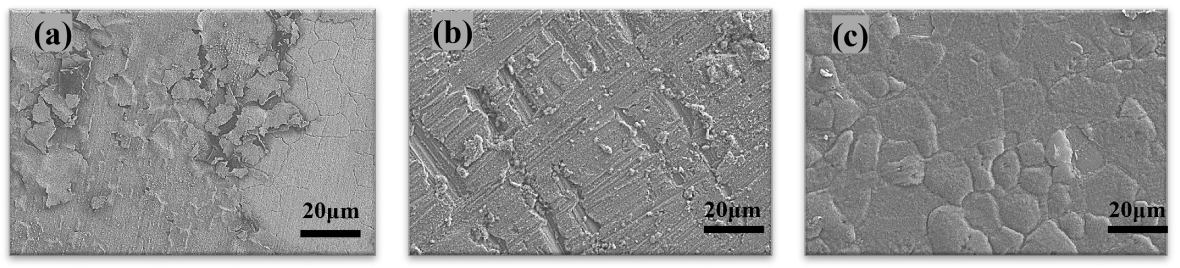 Polymers 13 04194 g008 550