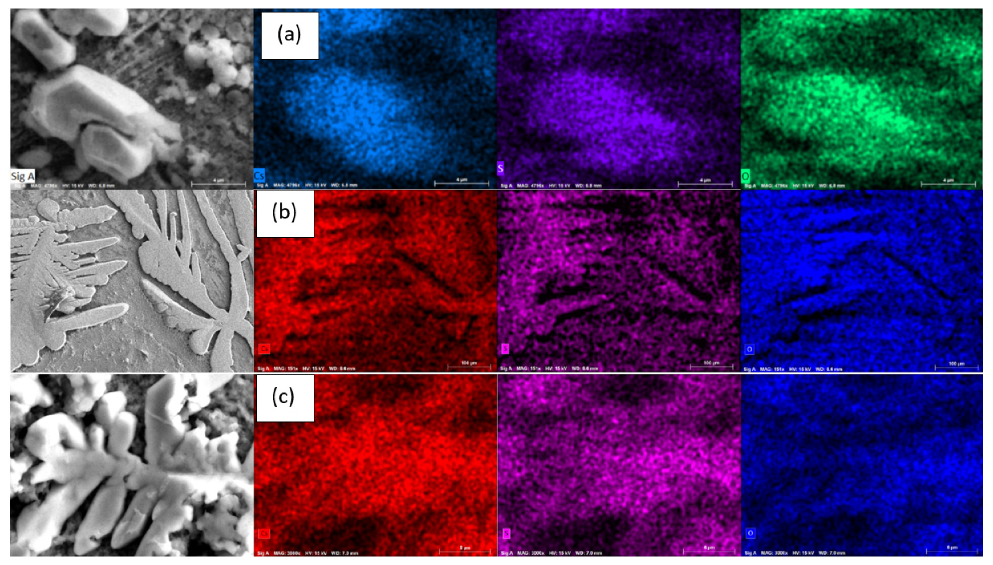 Polymers 13 04194 g009 550