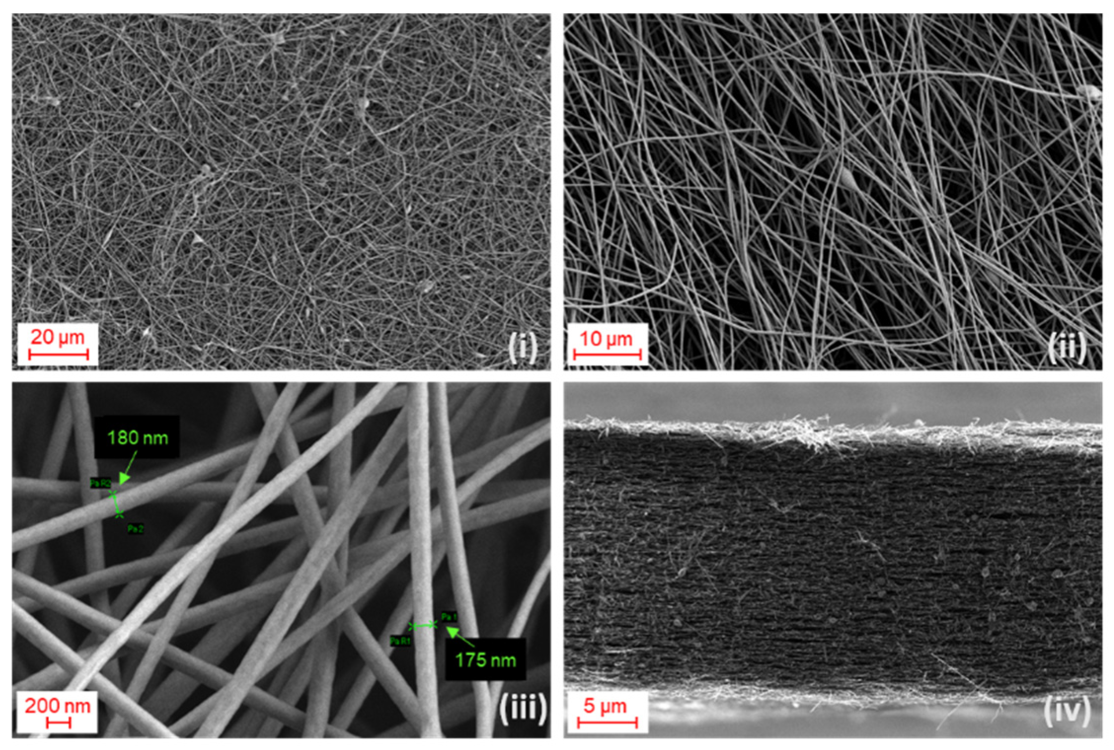 Polymers 13 04197 g002 550
