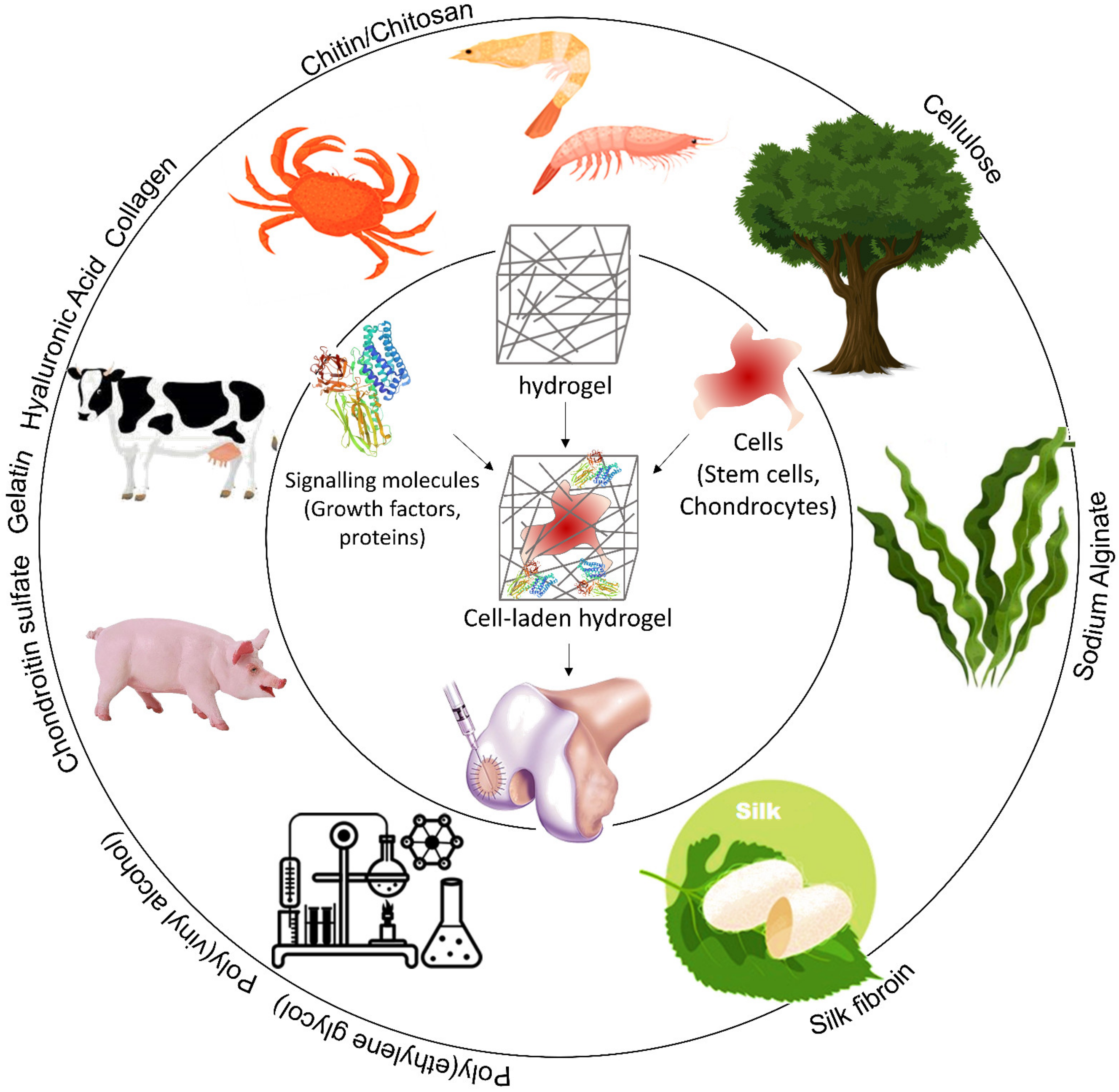 Polymers 13 04199 g003