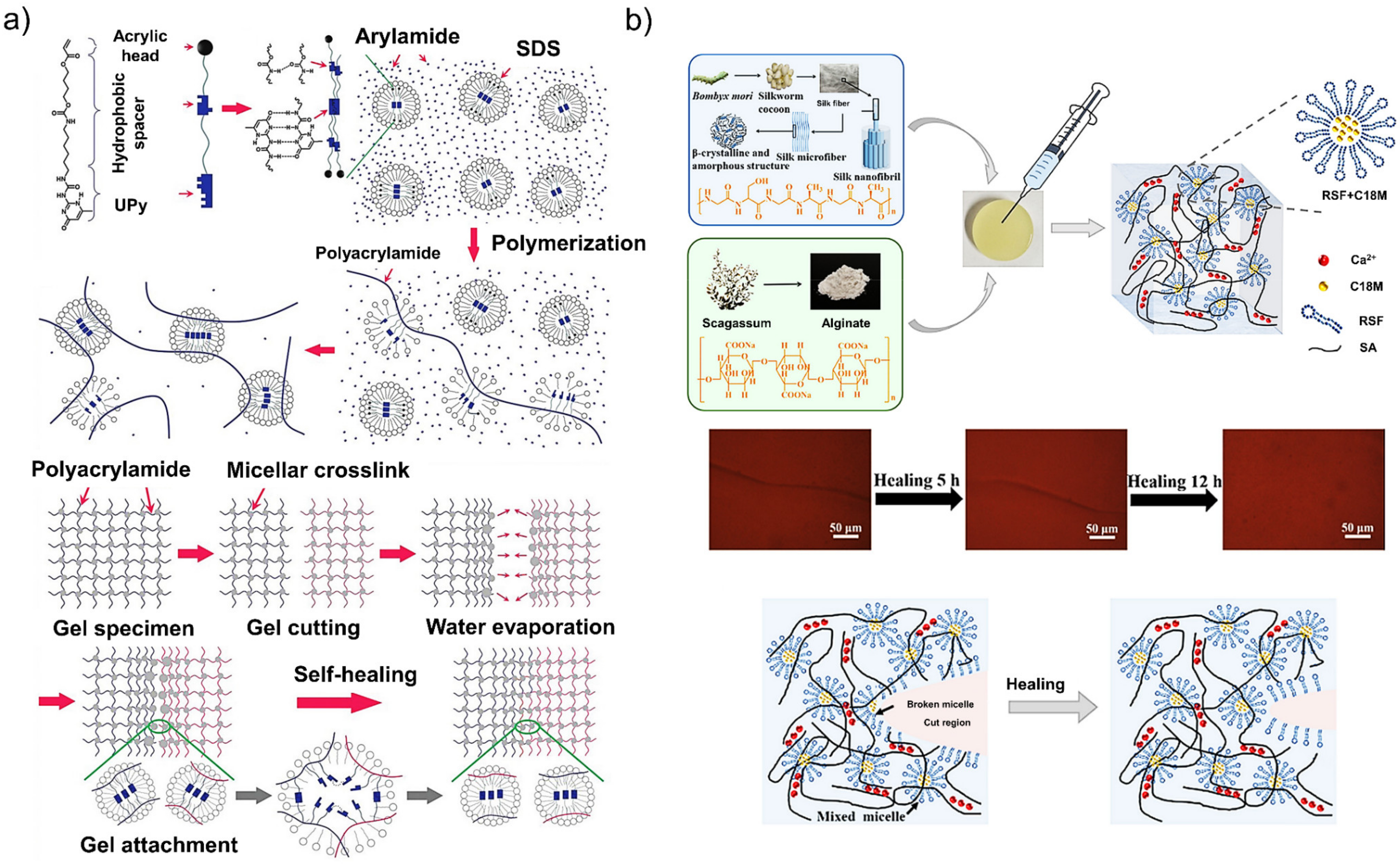 Polymers 13 04199 g007