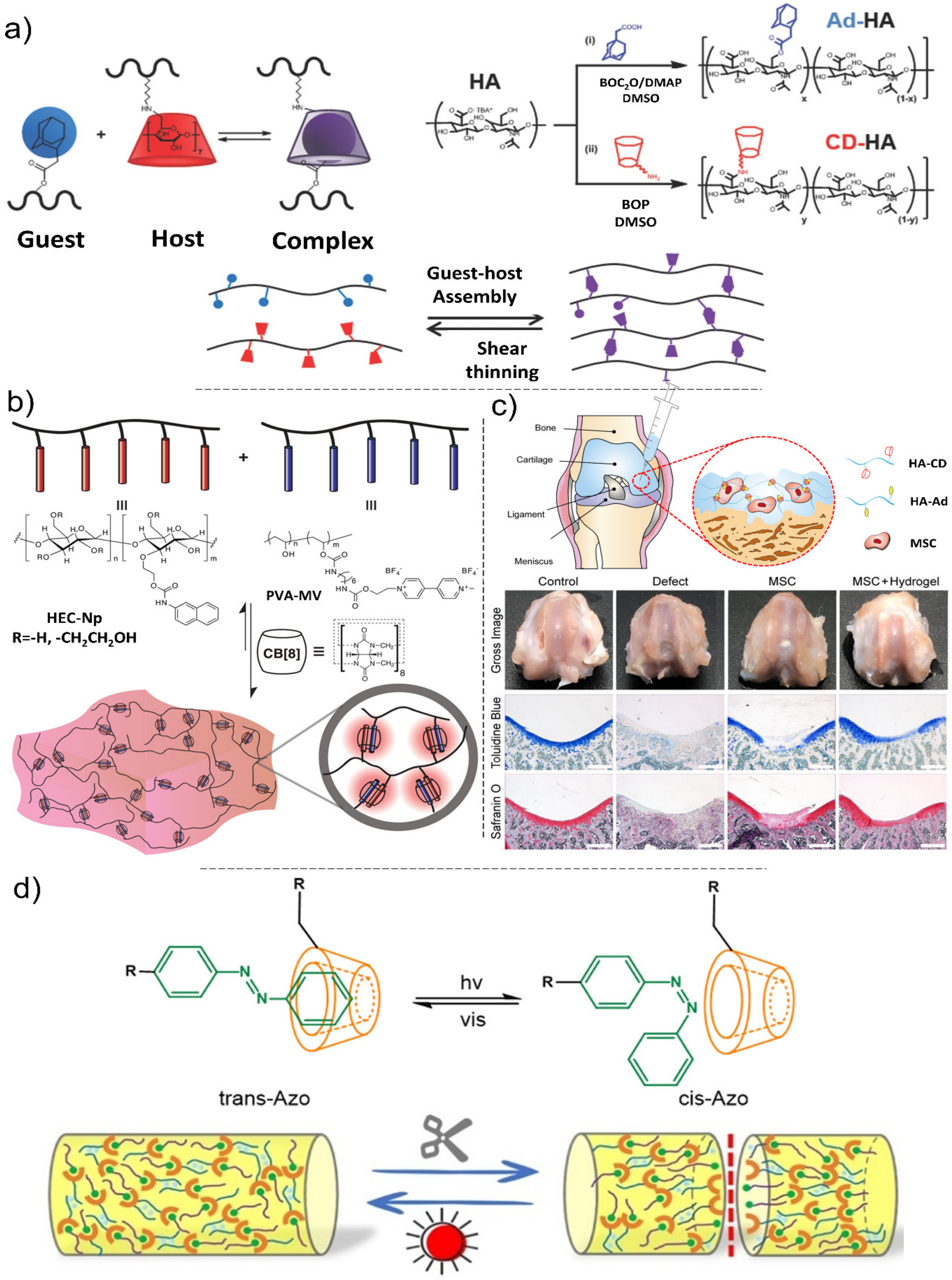 Polymers 13 04199 g008